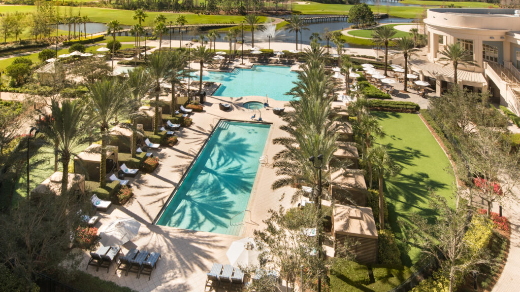 a swimming pool surrounded by palm trees