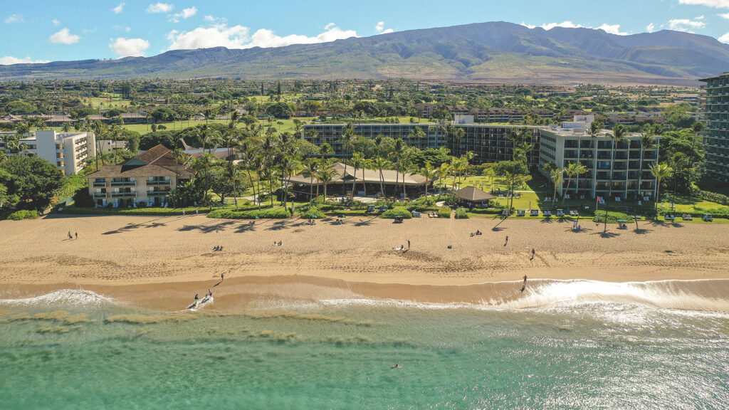 a beach with buildings and trees