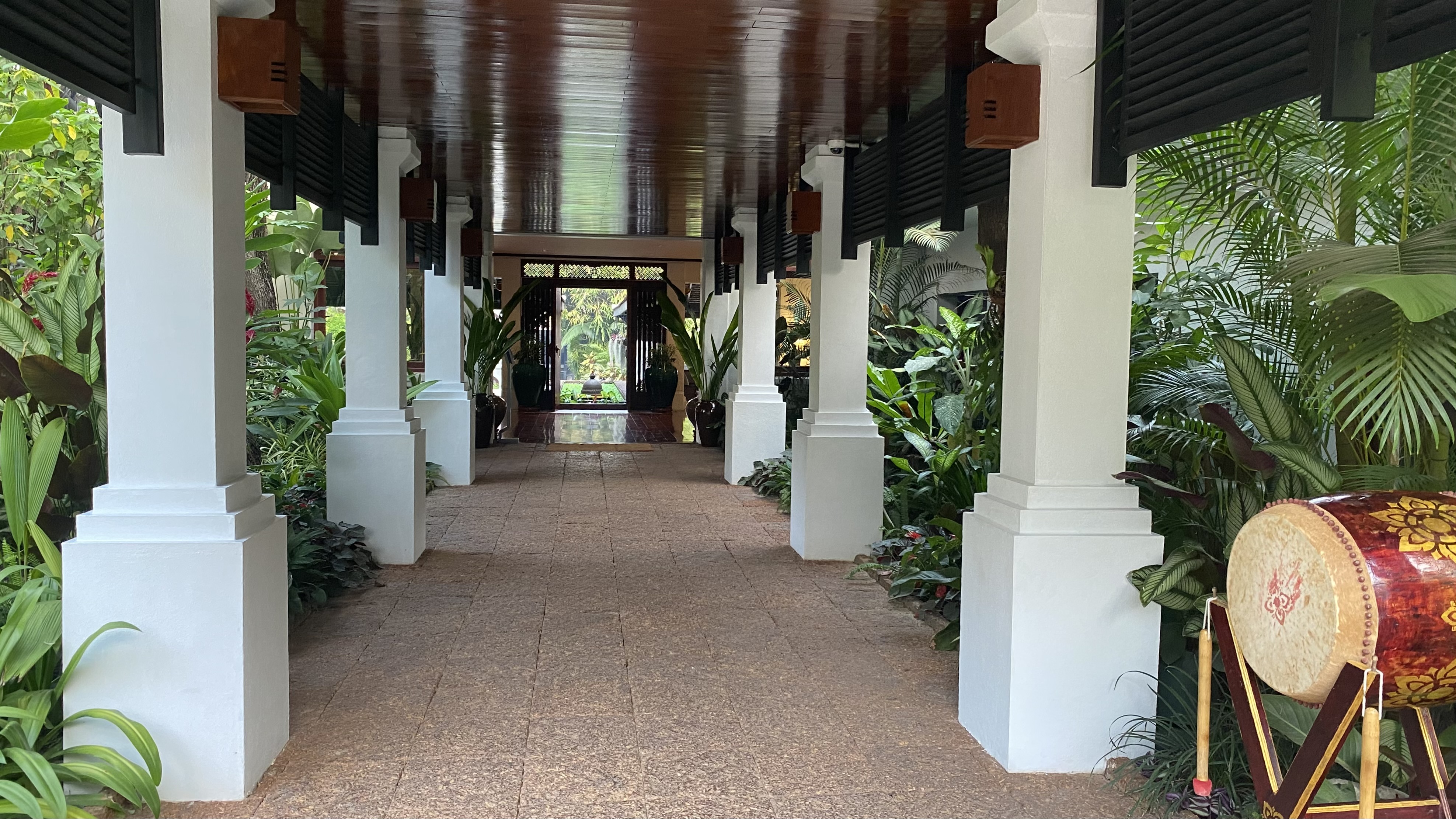 a walkway with white pillars and plants