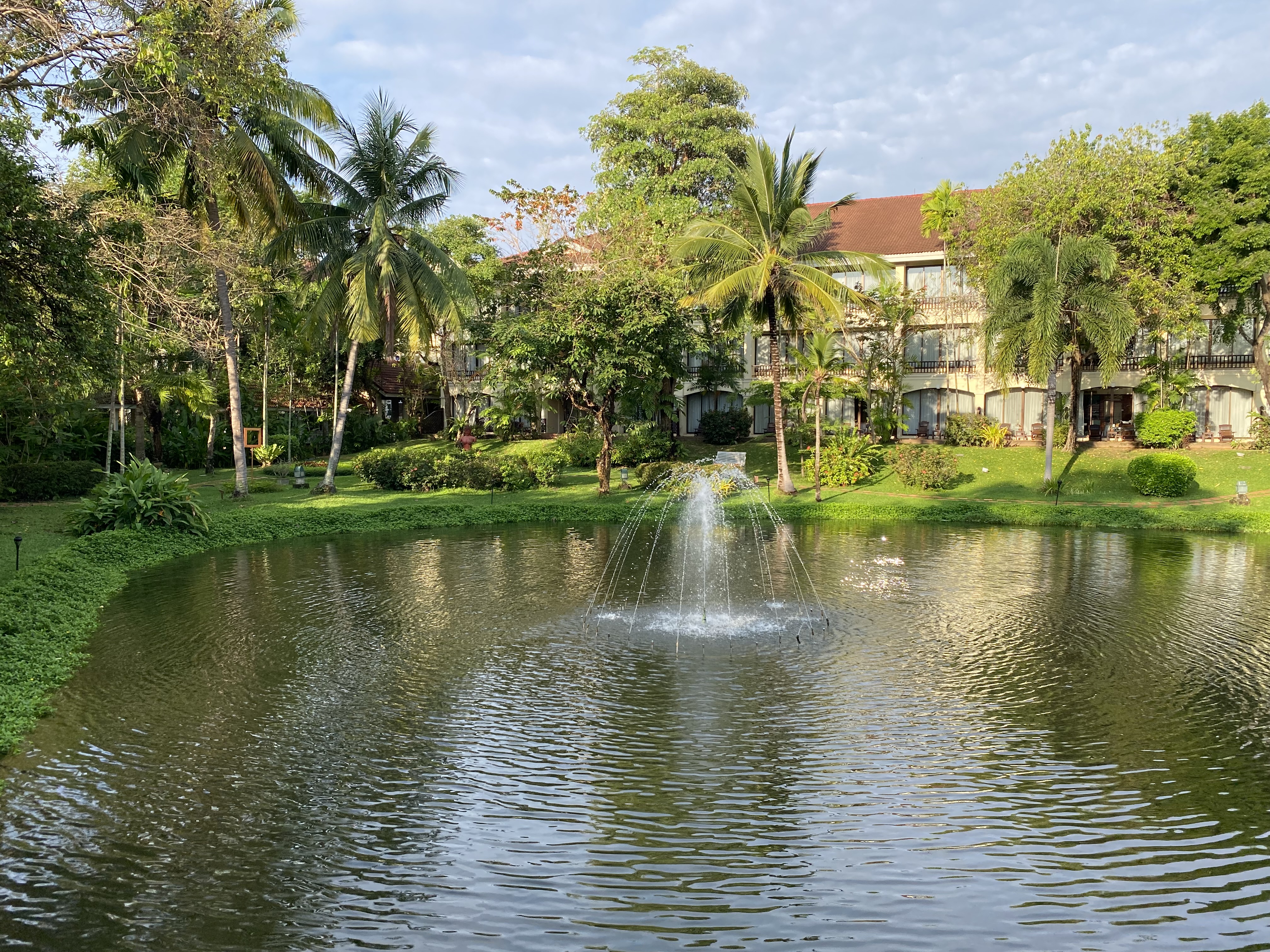 a pond with a fountain in the middle of it surrounded by trees