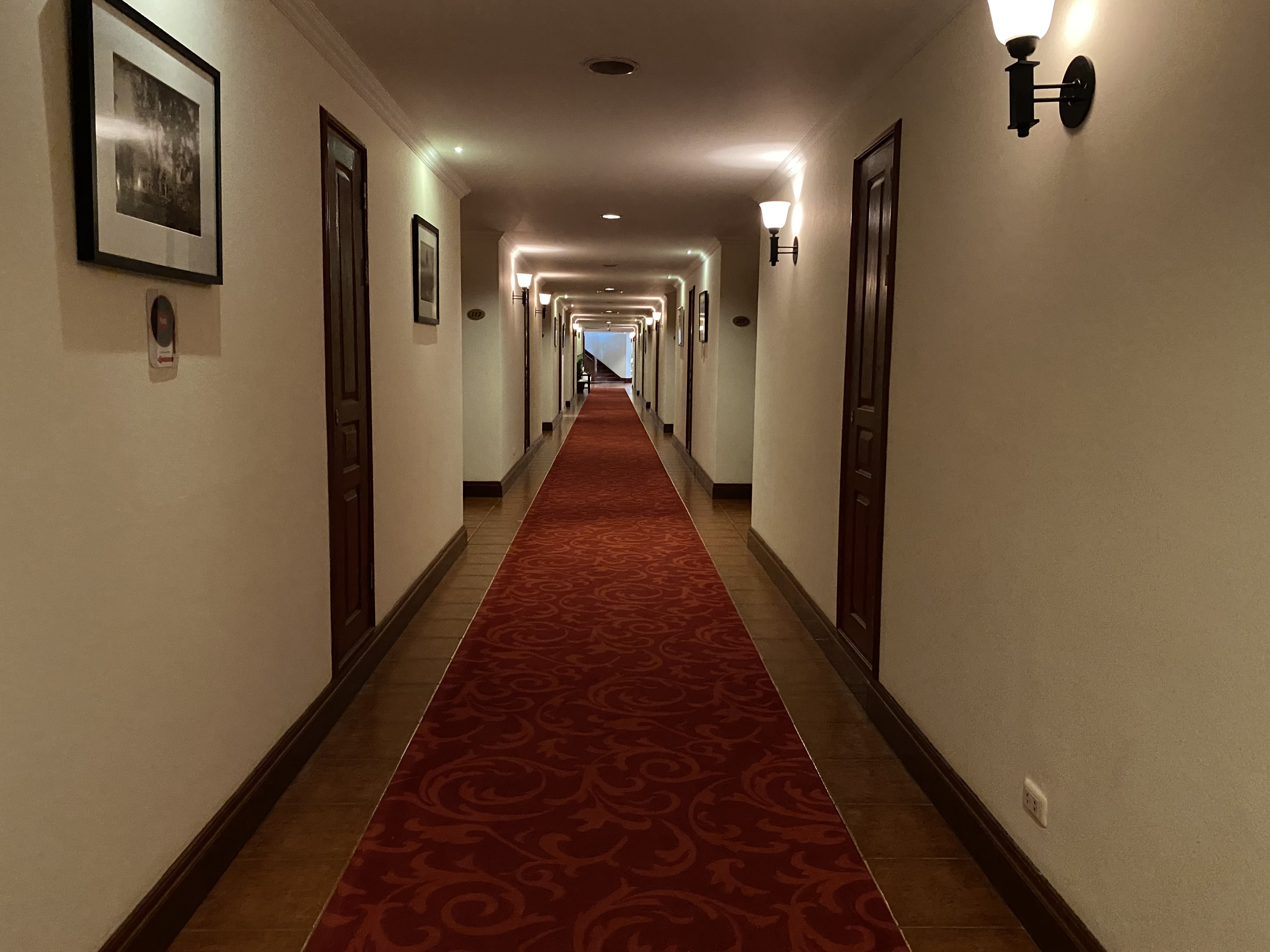 a long hallway with a red carpet