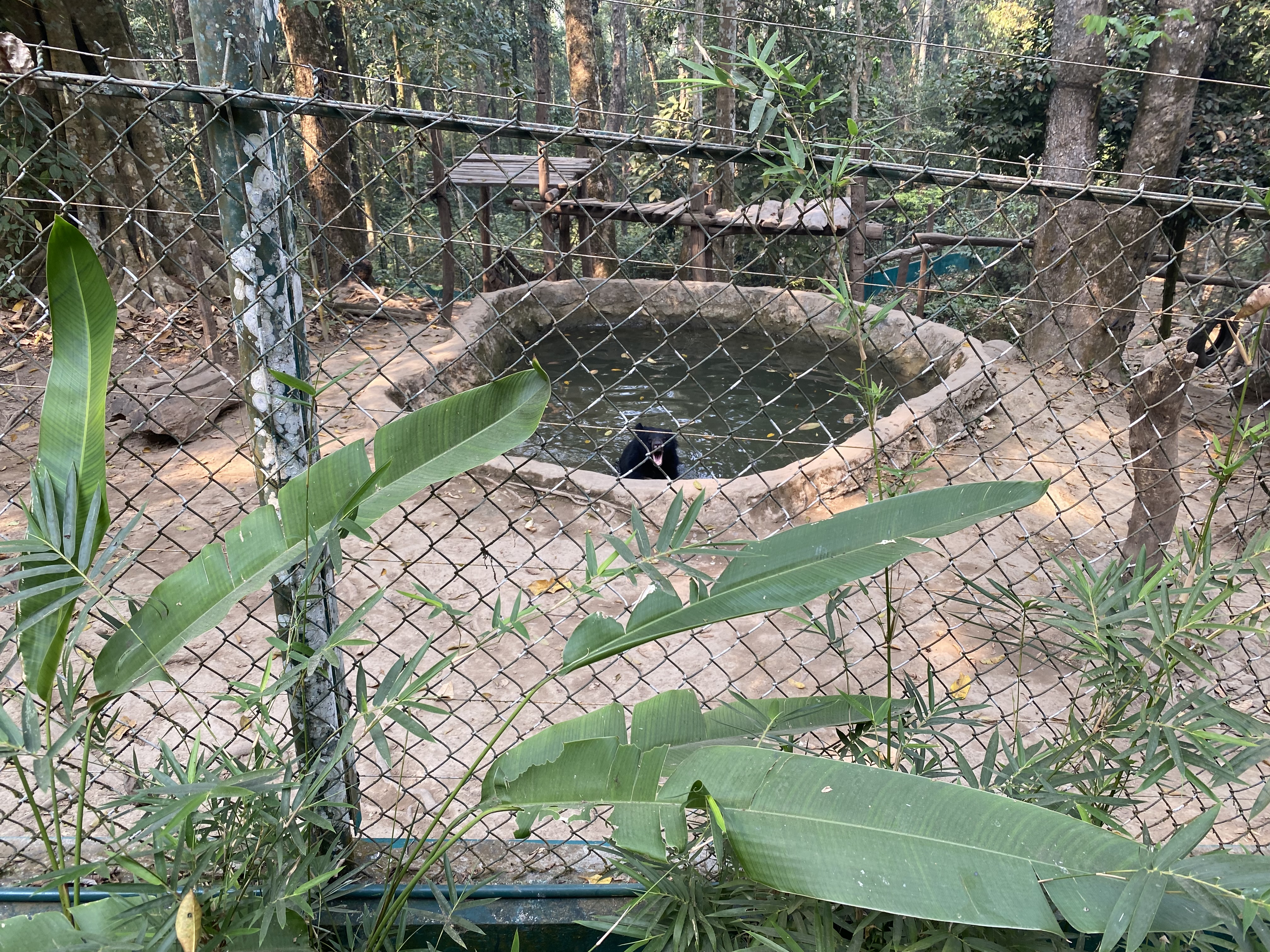 a fenced in area with a pool of water