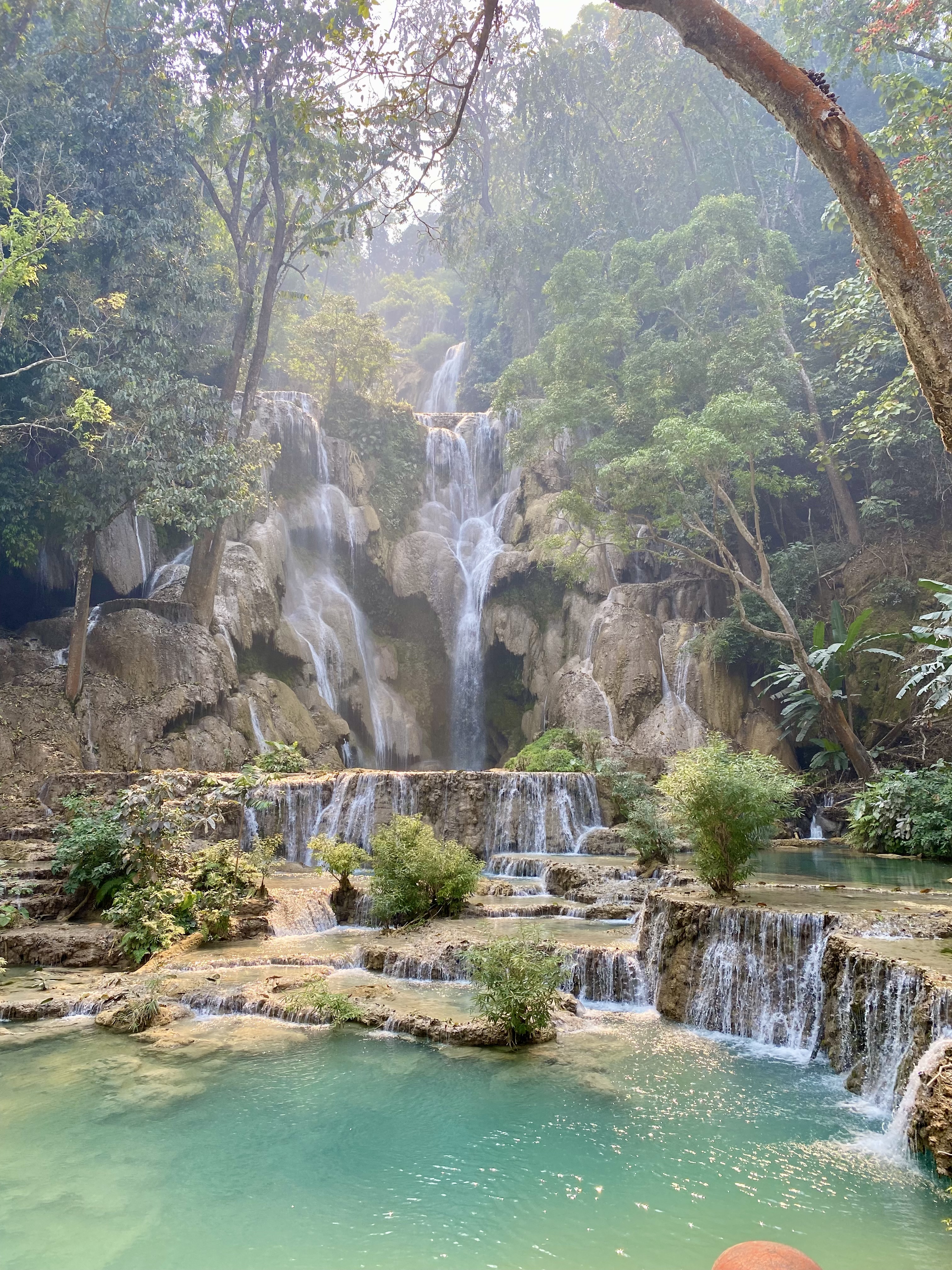 a waterfall surrounded by trees