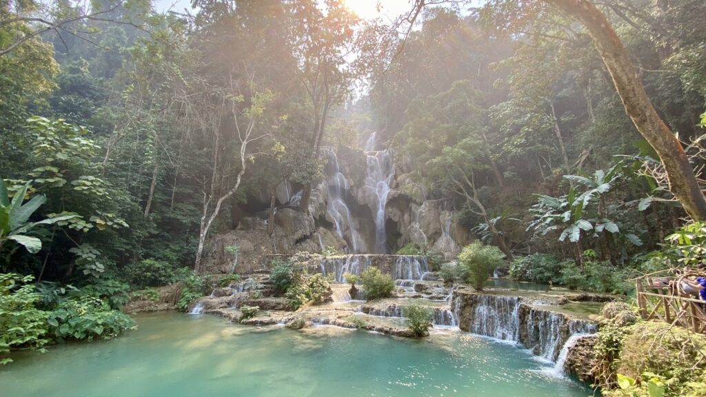 a waterfall surrounded by trees