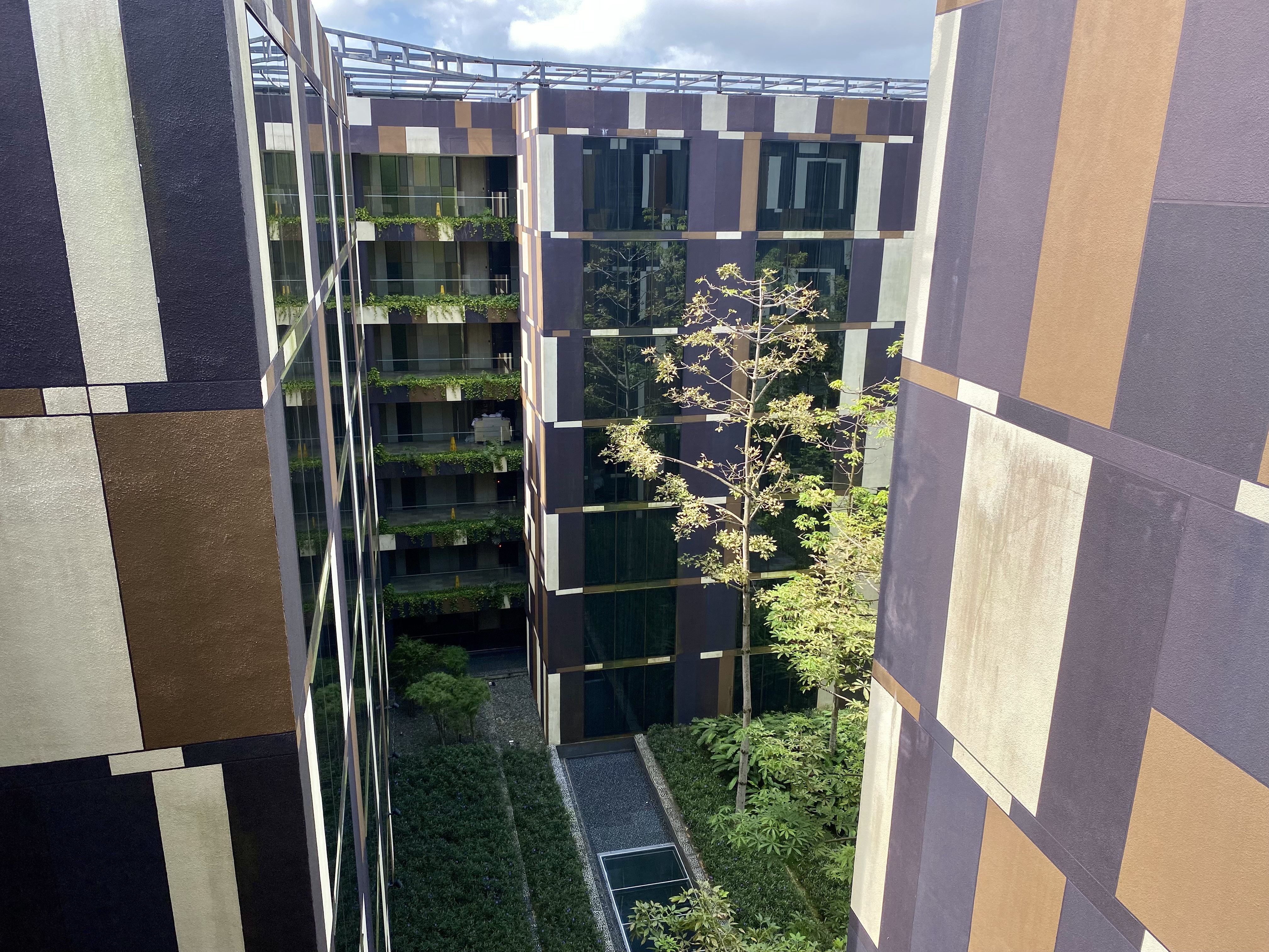 a tree in front of a building