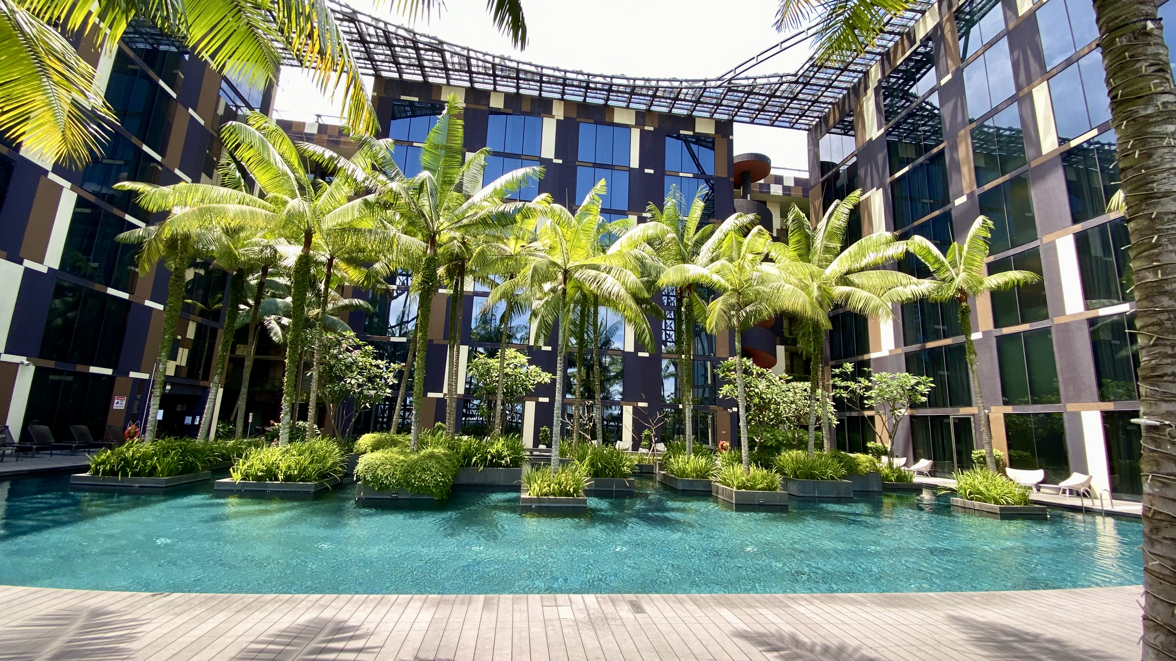 a pool of water with palm trees in front of a building