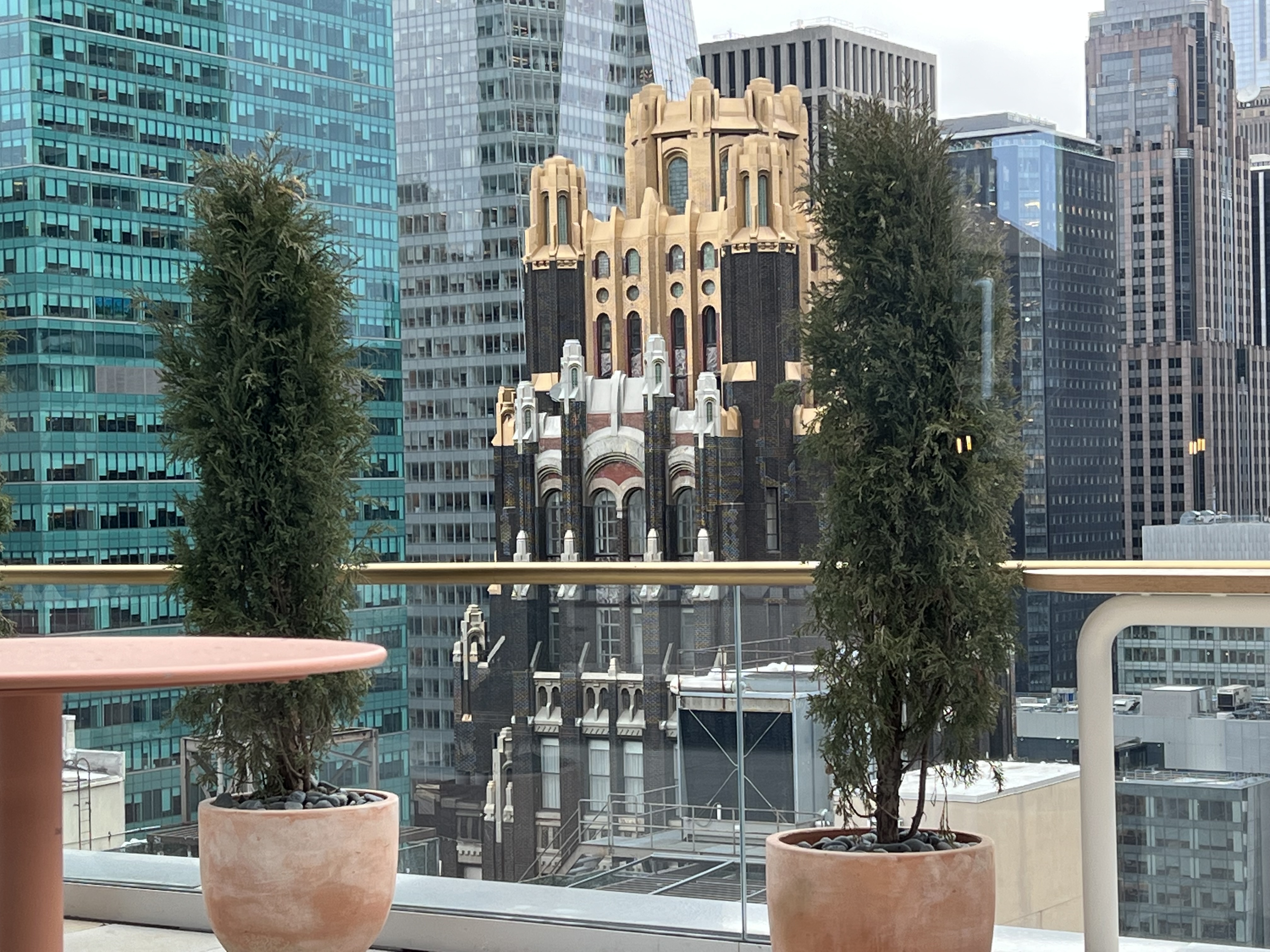 a group of trees in pots with a building in the background