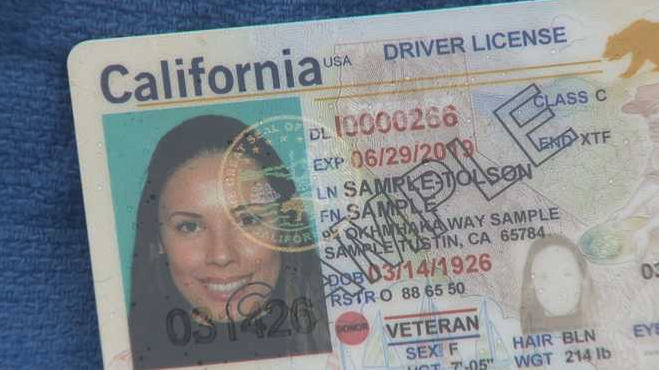 close-up of a driver's license