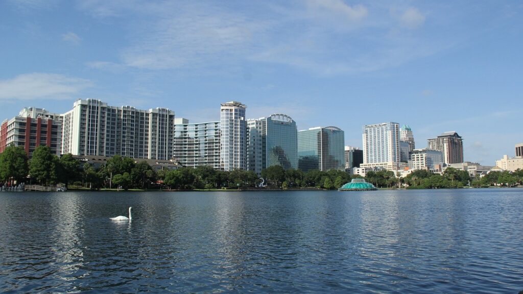 a swan swimming in a lake