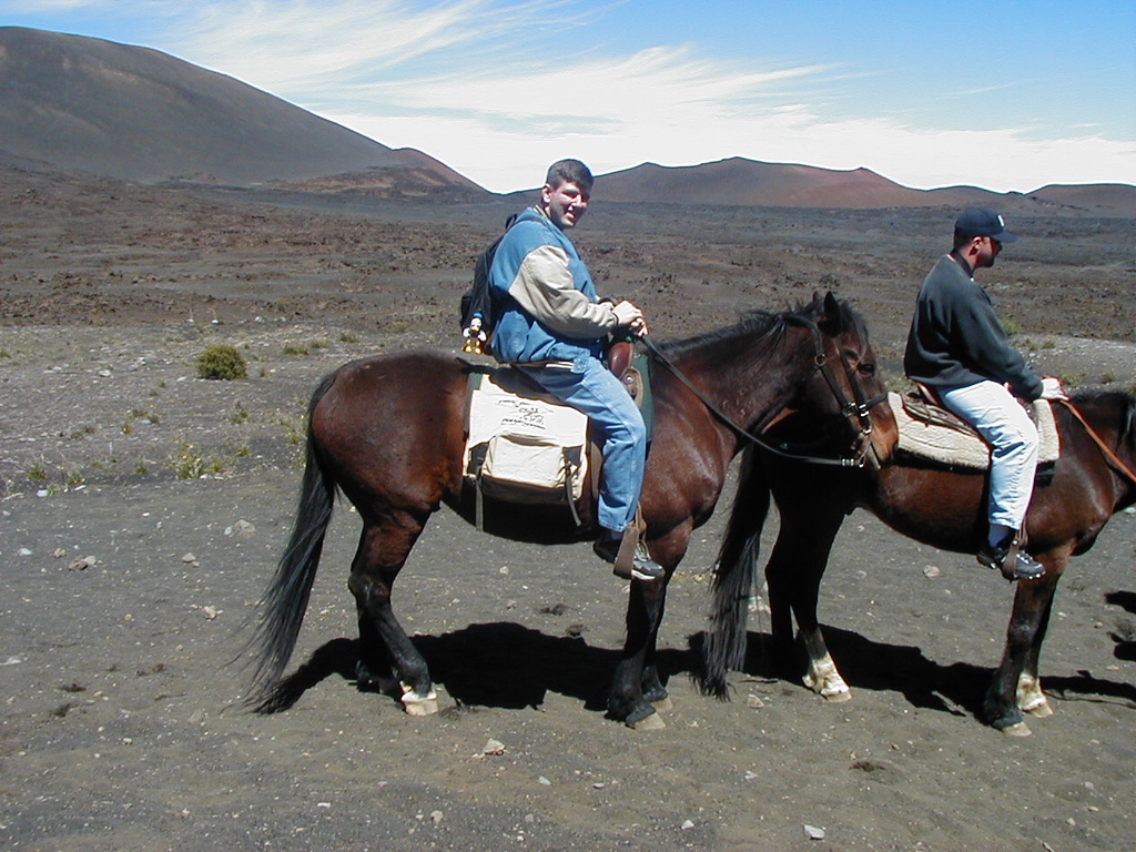 a couple of men riding horses