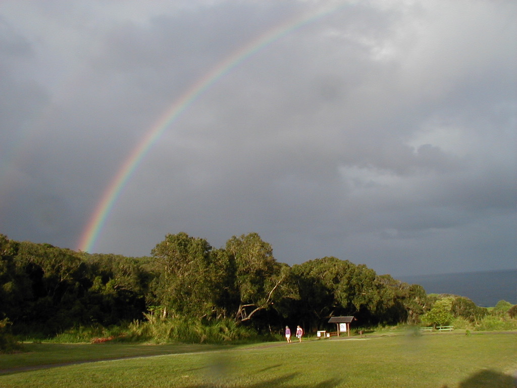 a rainbow over a field