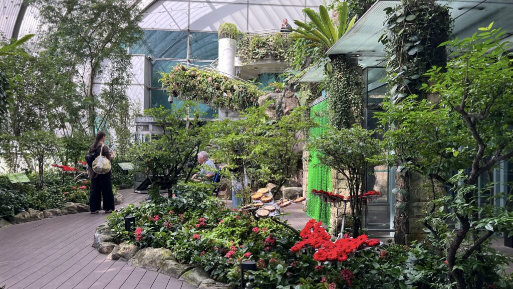 a garden with plants and flowers