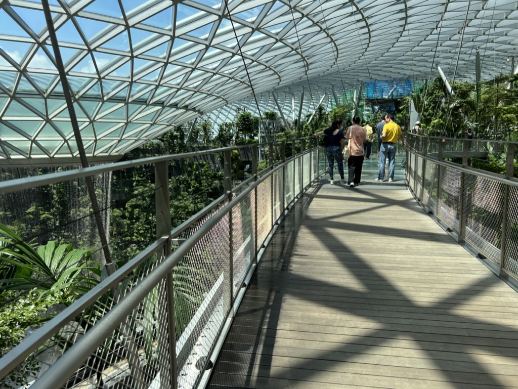 a group of people walking on a walkway