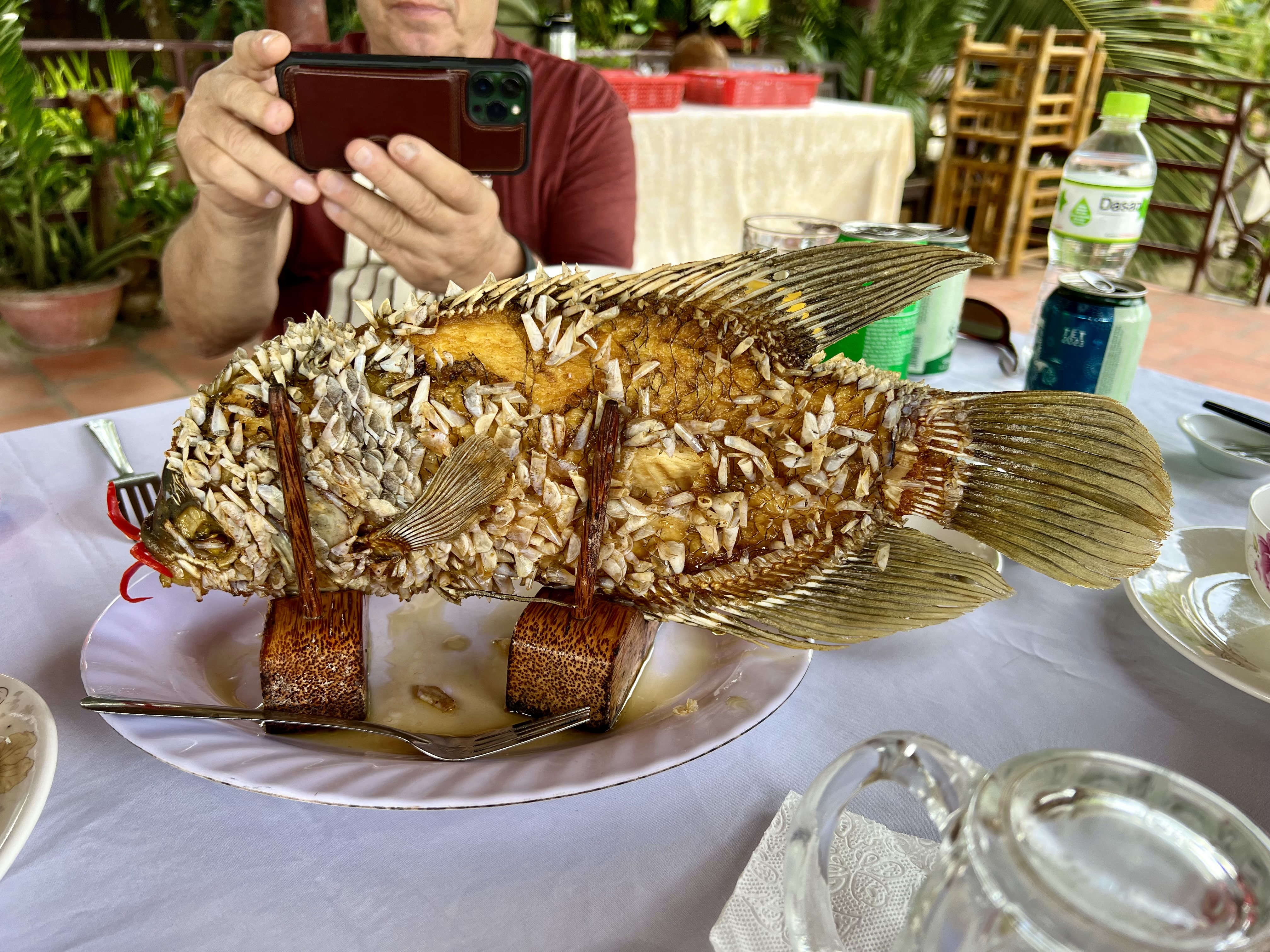 a fish shaped food on a plate