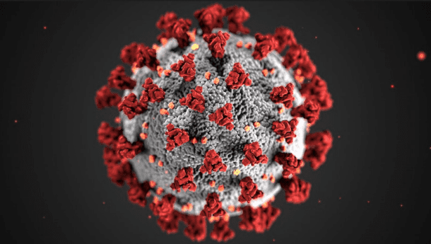 a close up of a virus