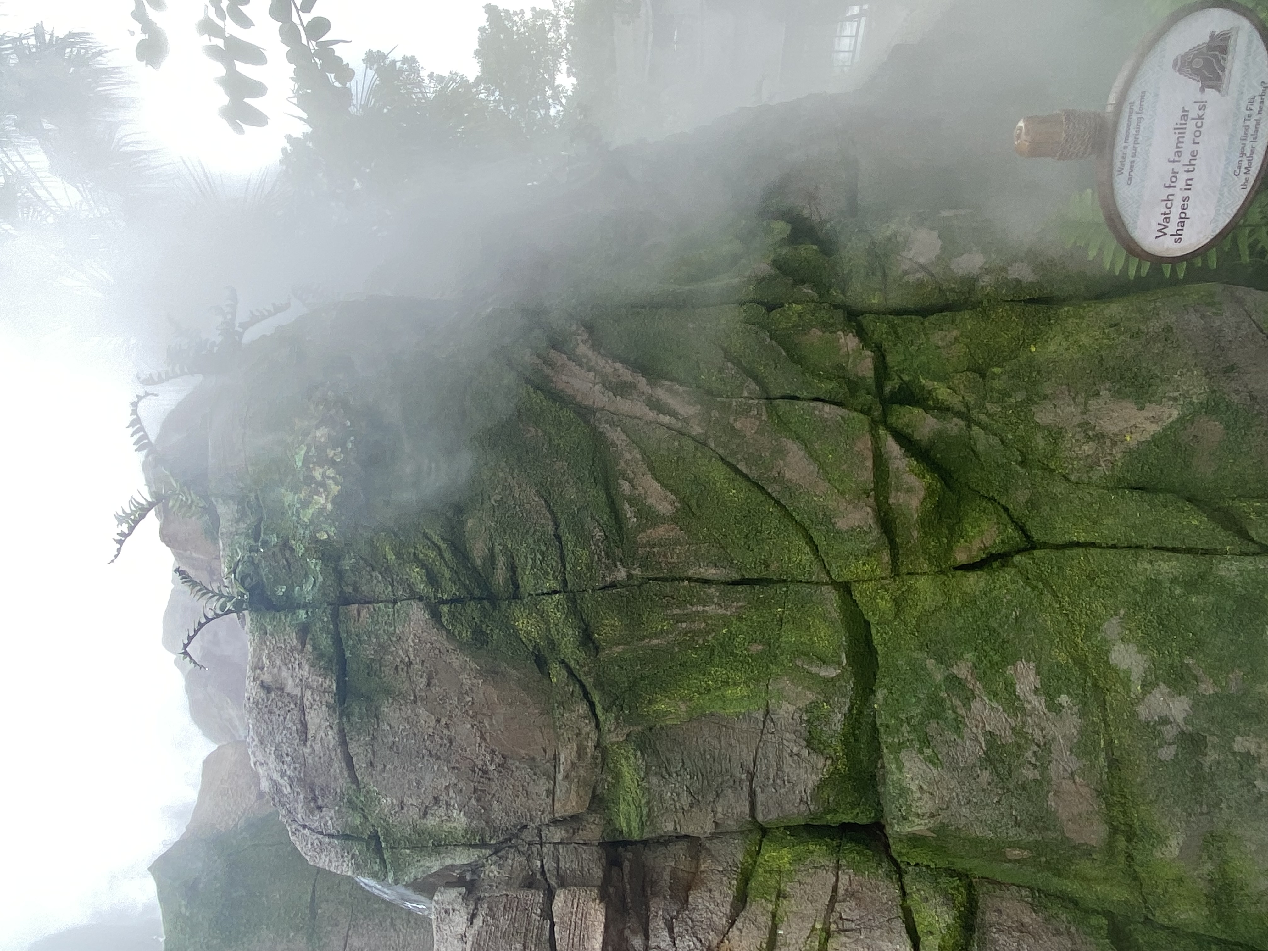 a rock with moss and steam coming out of it
