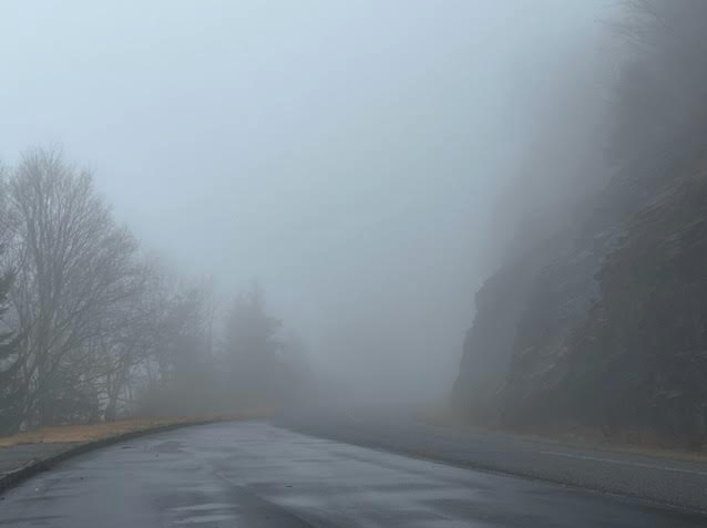 a road with fog on the side