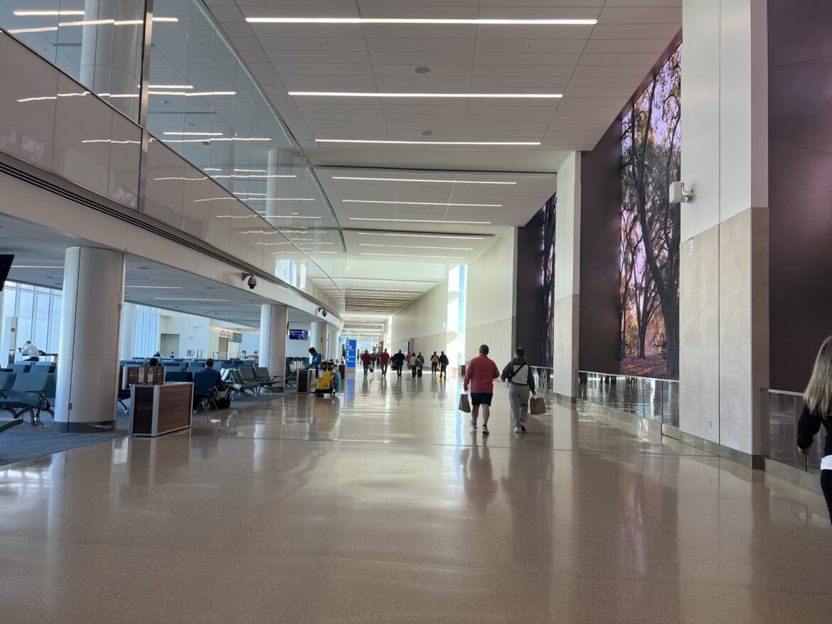 The Future of MCO Expanding Terminals, Rental Car Facility, & More