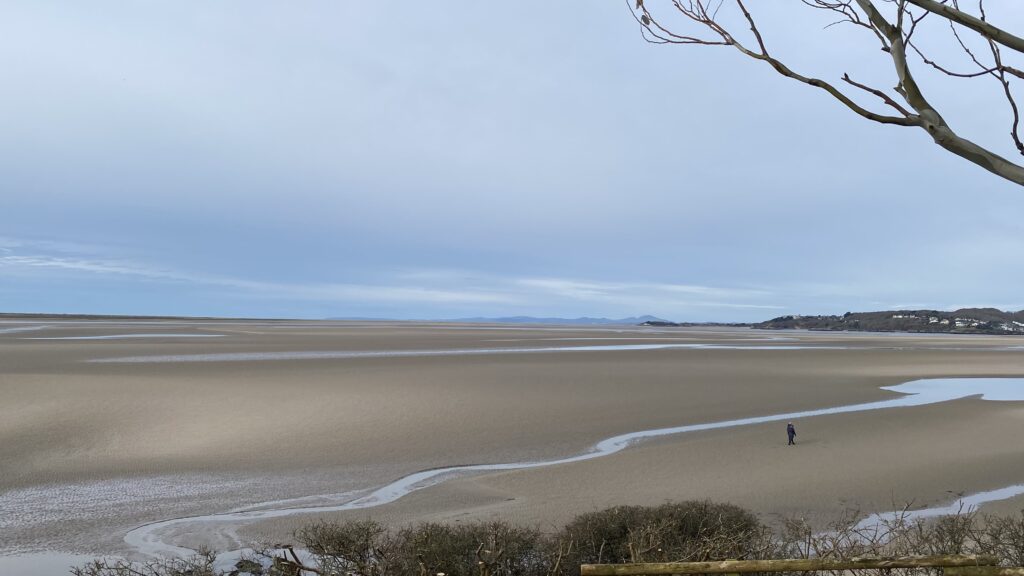 a person walking on a beach