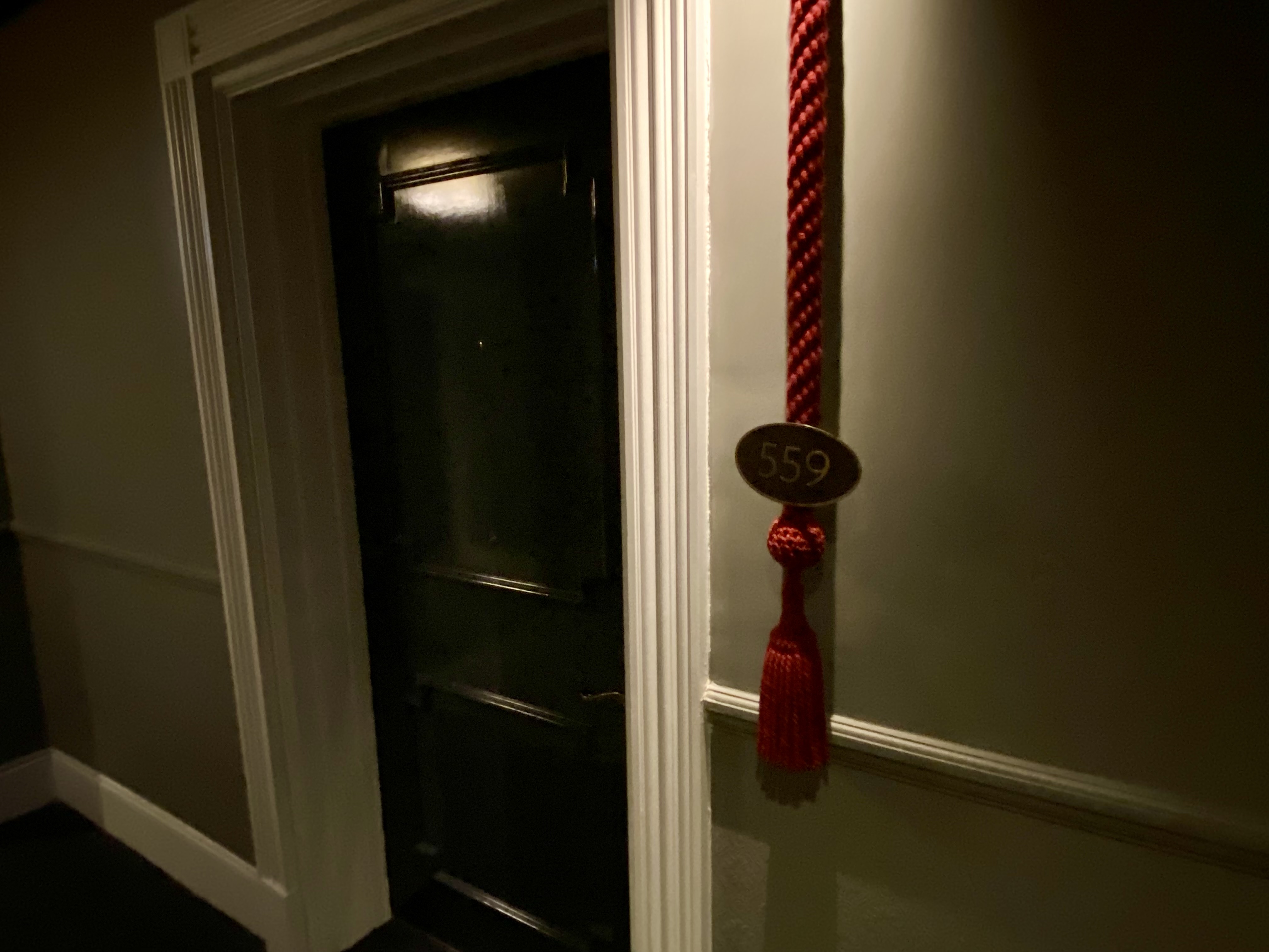 a door with a rope and a tassel