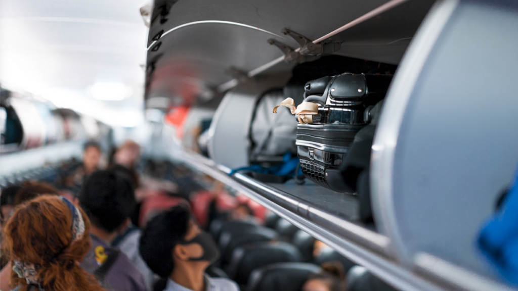 a group of people sitting in an airplane