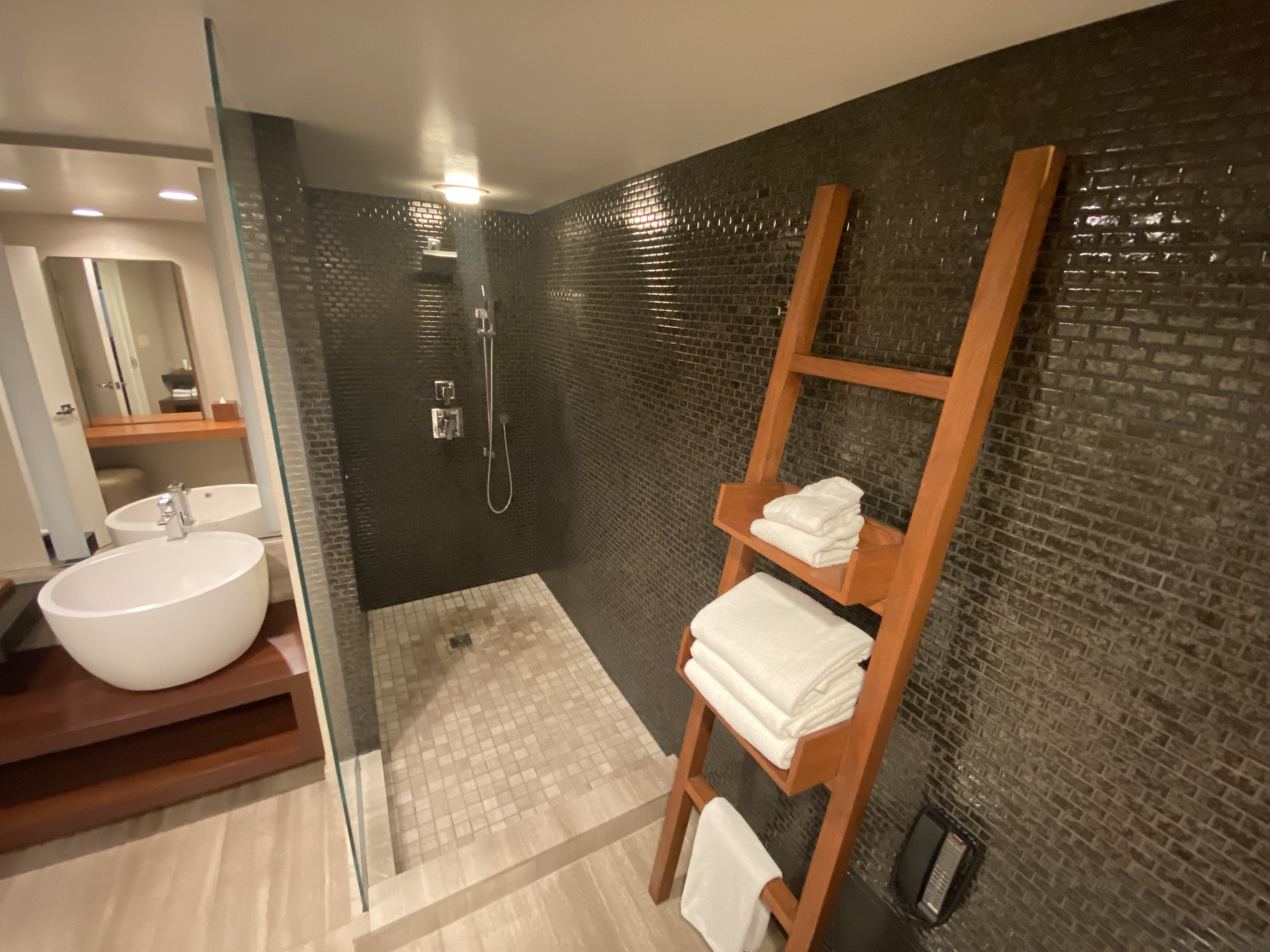 a bathroom with a shower and a ladder