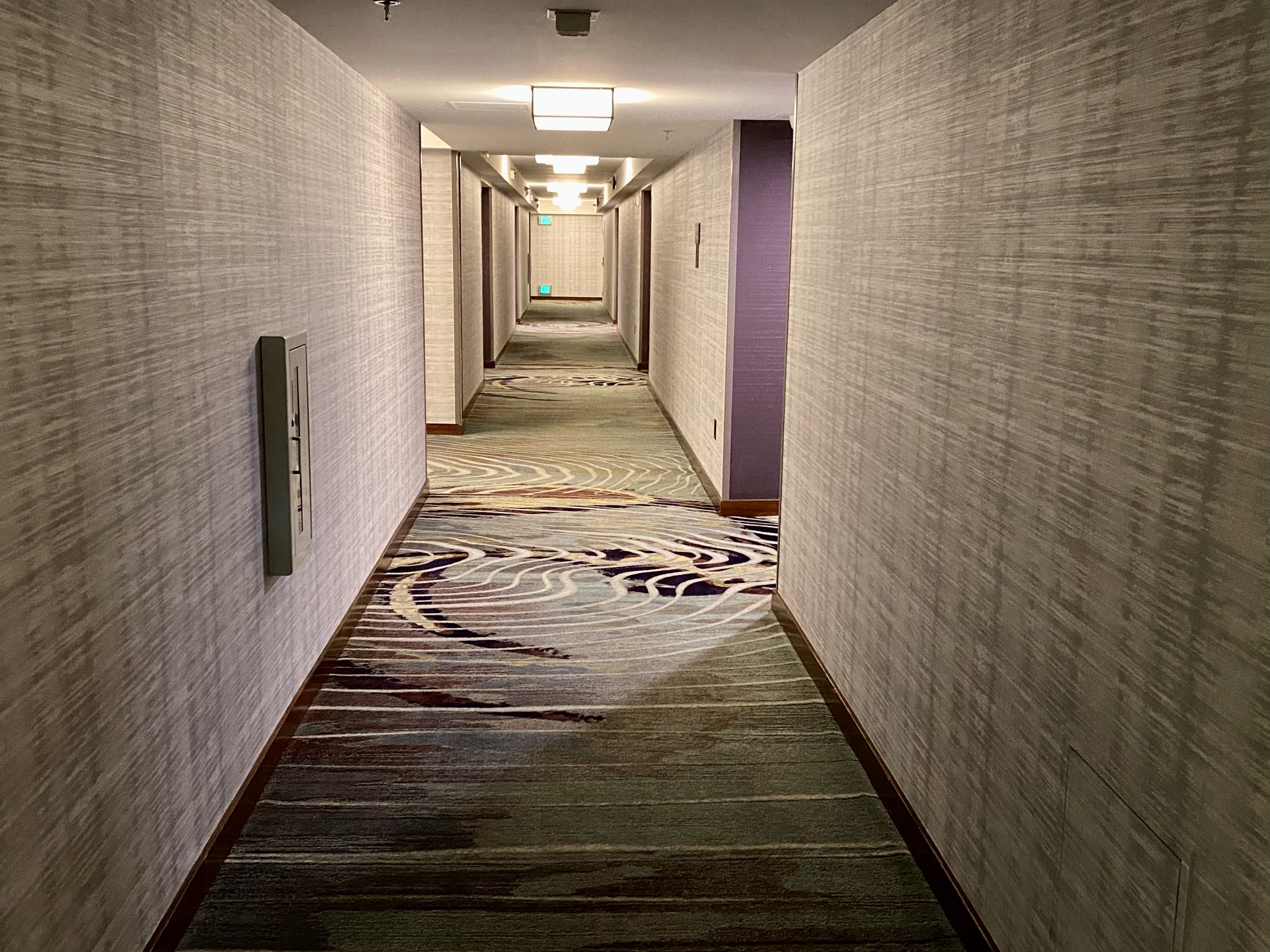 a hallway with a carpeted floor