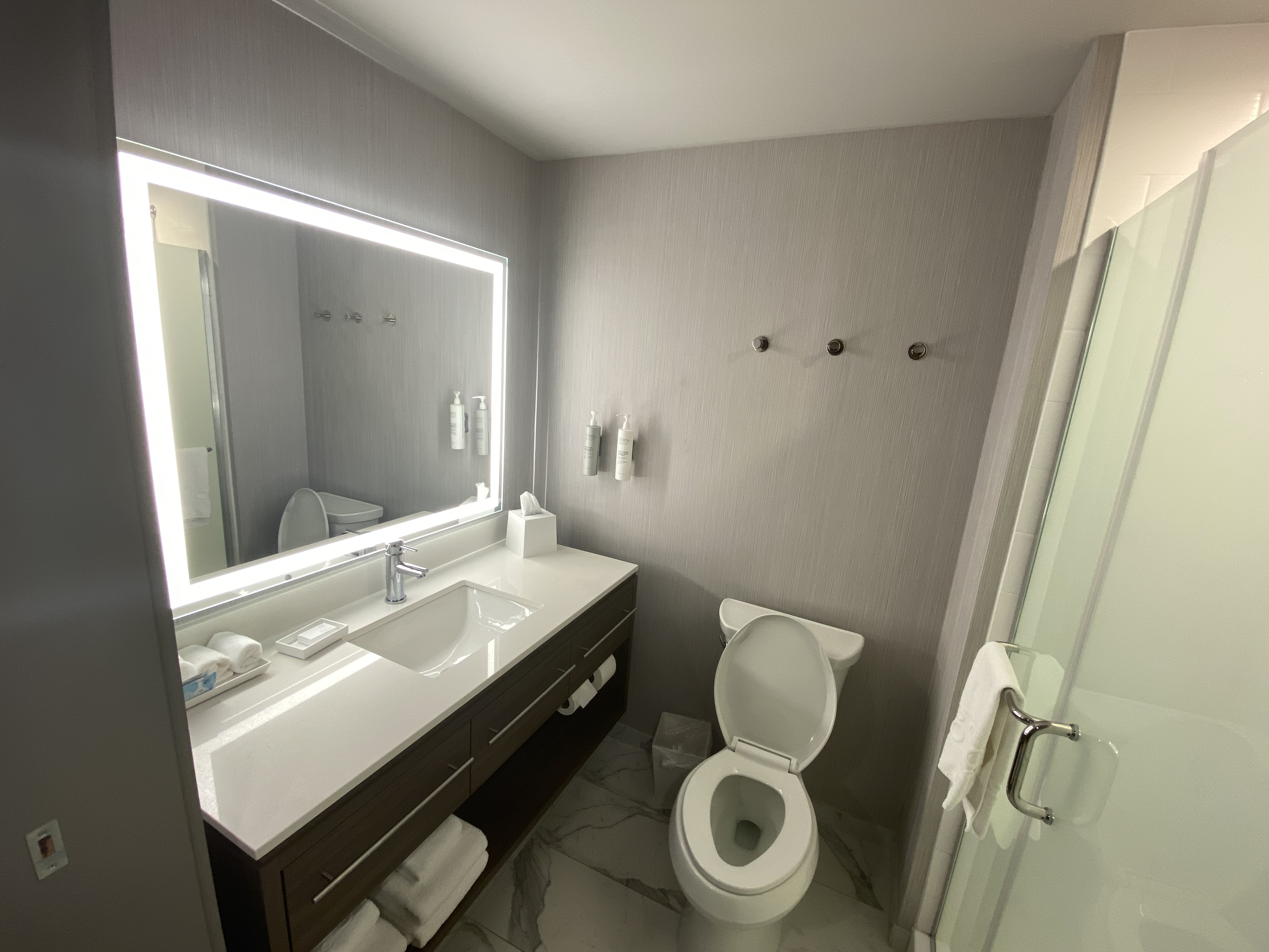 a bathroom with a mirror and toilet