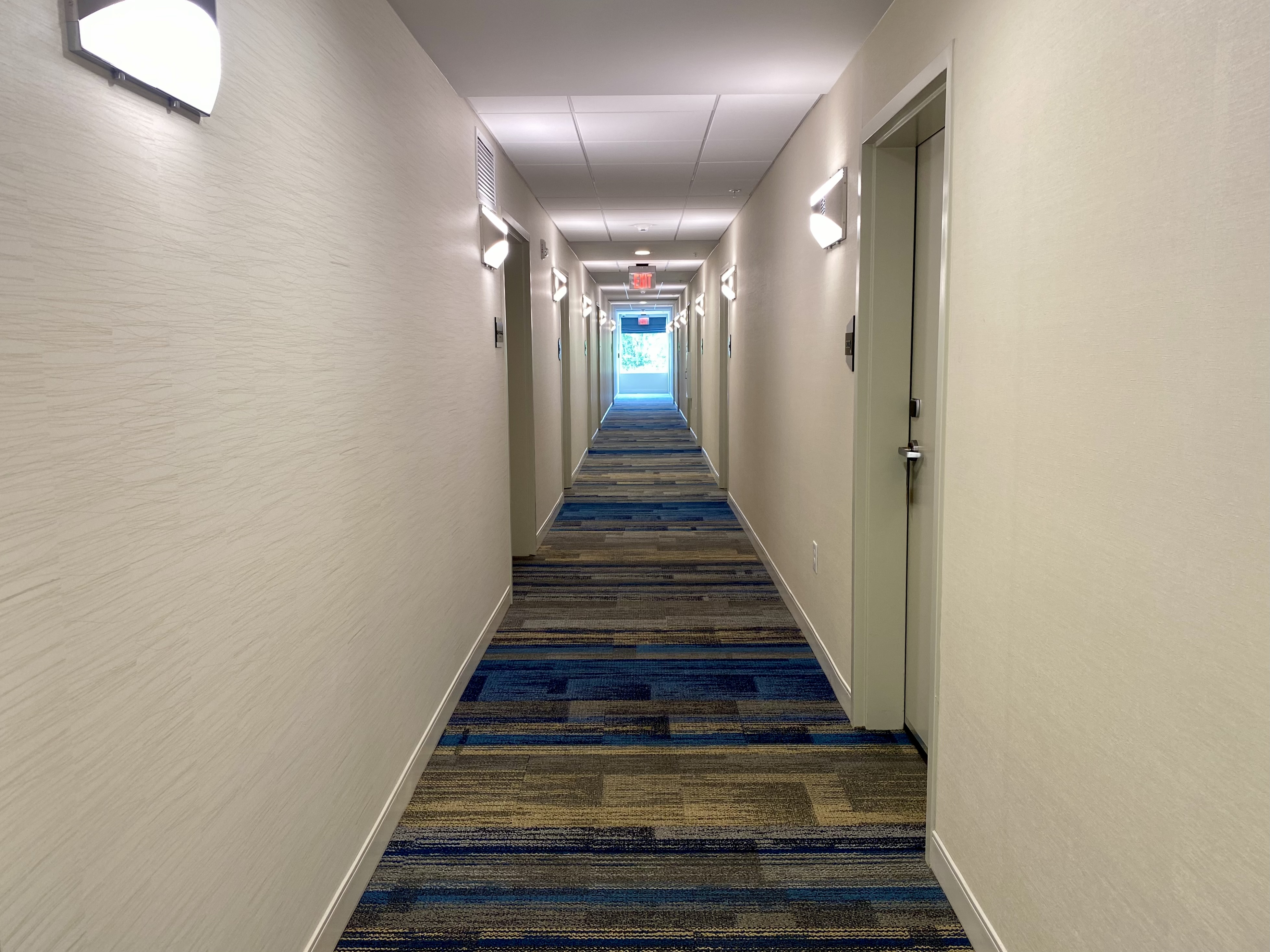 a hallway with a blue carpet and doors