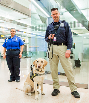 a man and a dog standing in front of a glass wall