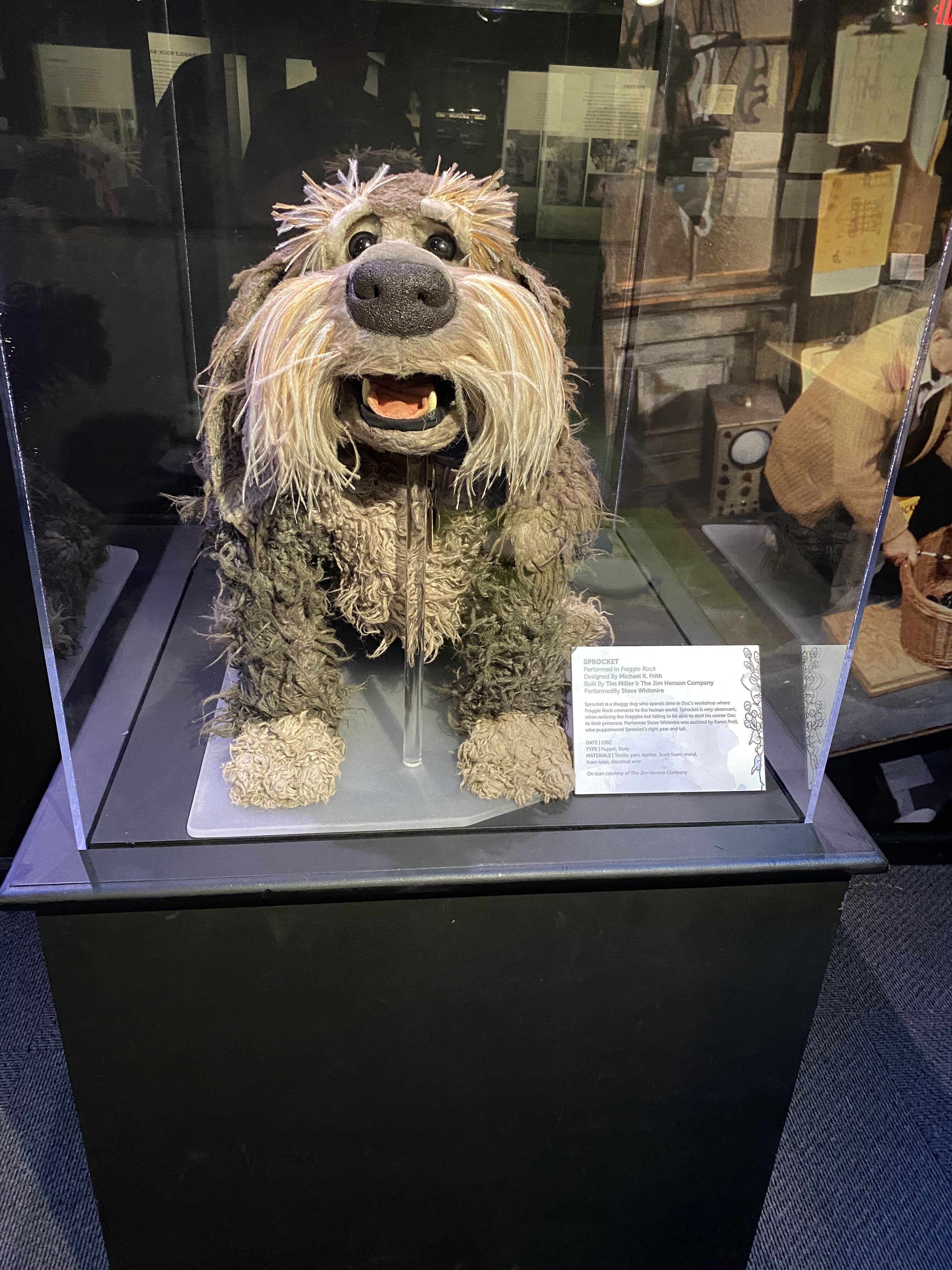 a stuffed animal in a glass case