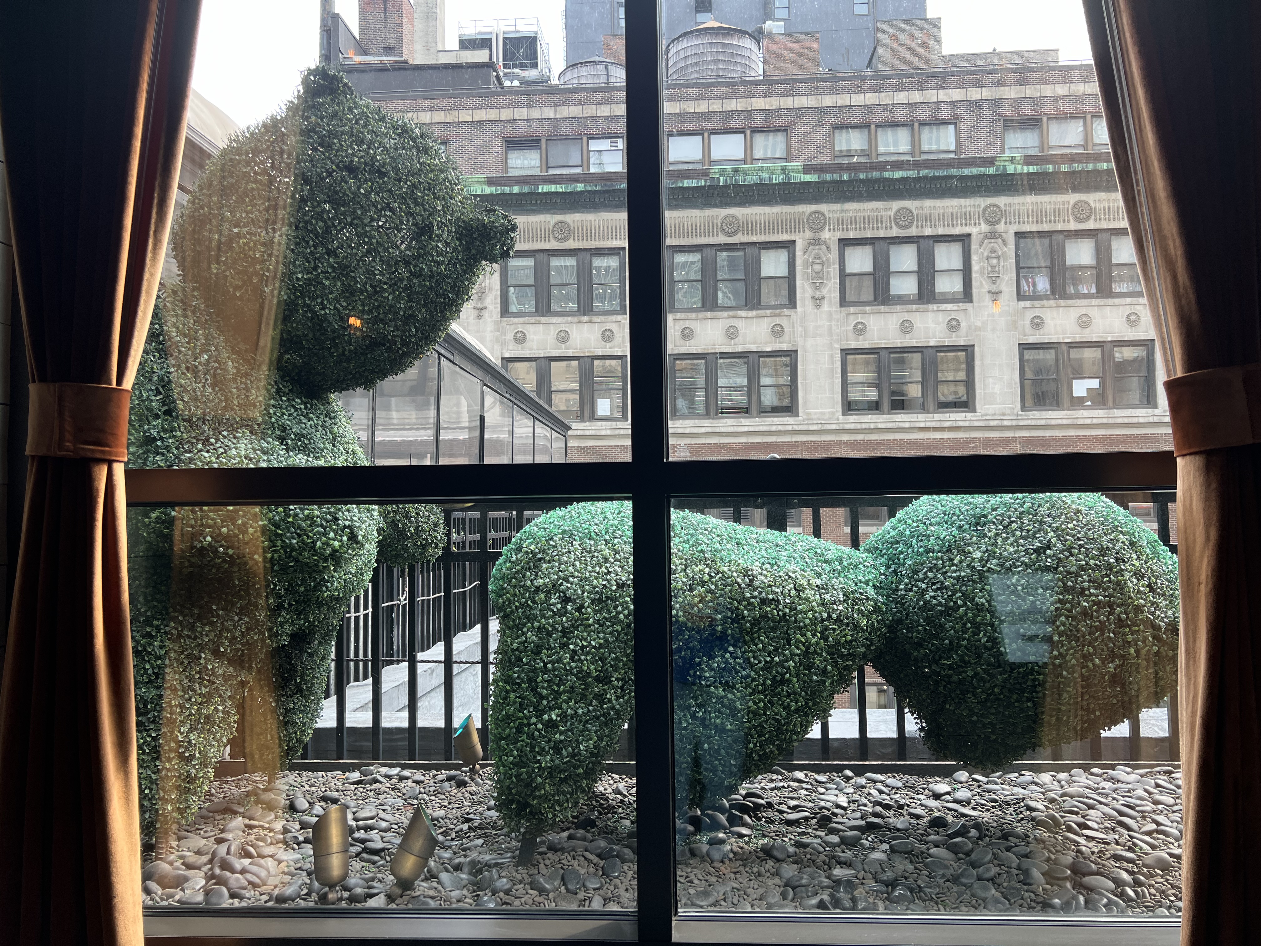 a window with a group of bushes