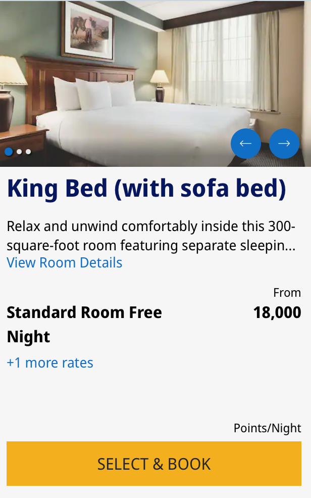 a screenshot of a hotel room