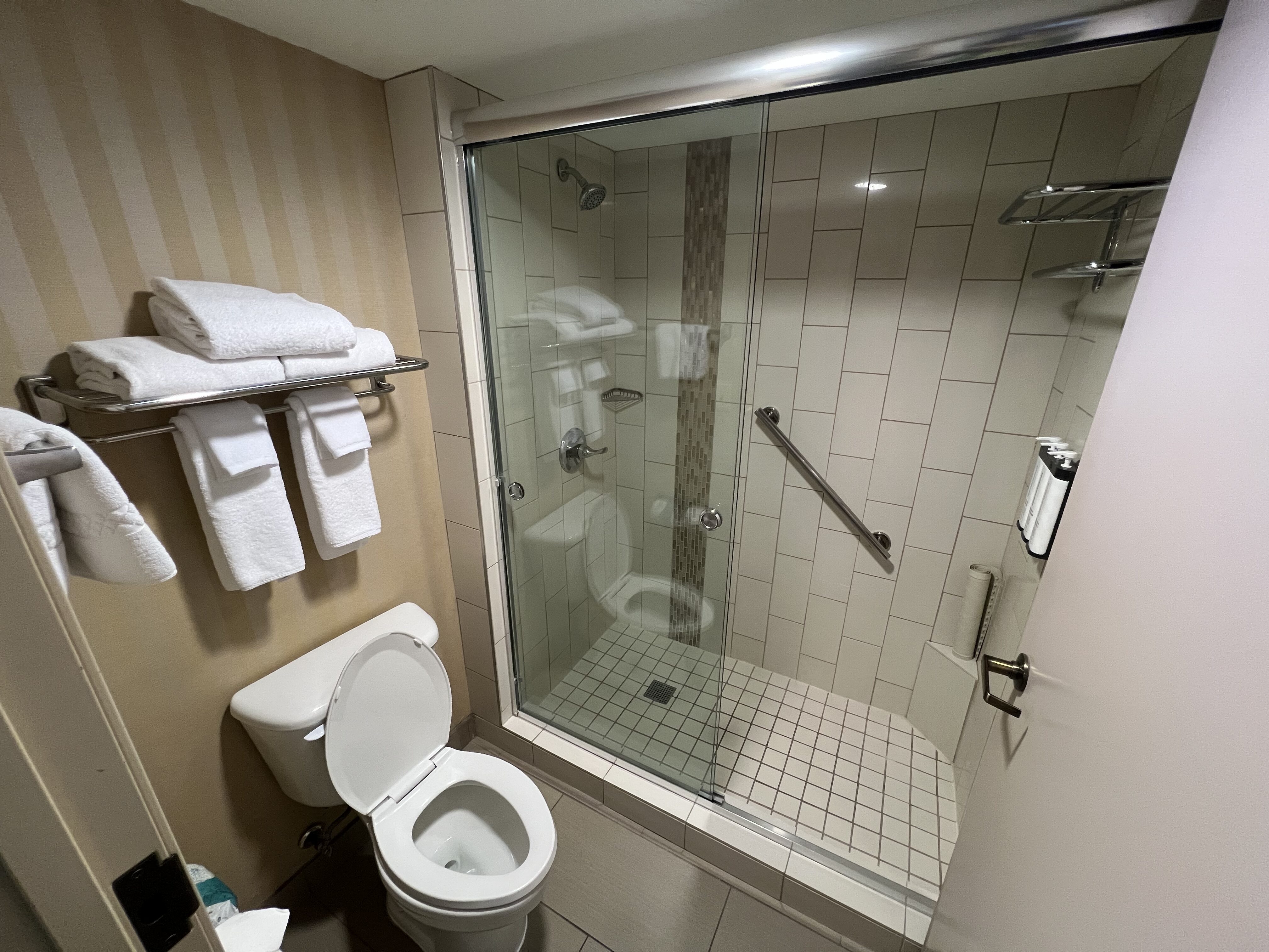 a bathroom with a glass shower and toilet