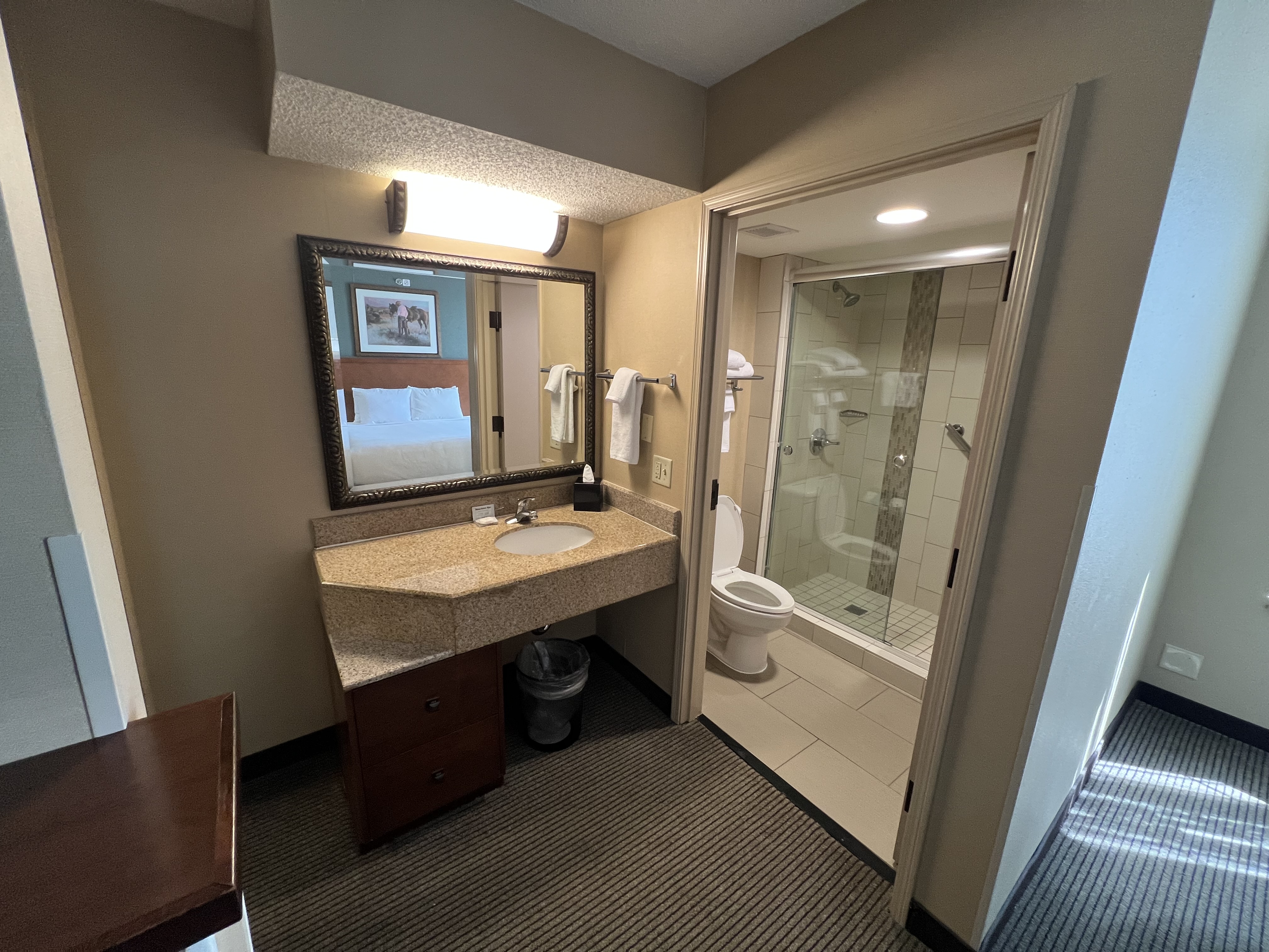 a bathroom with a mirror and a shower