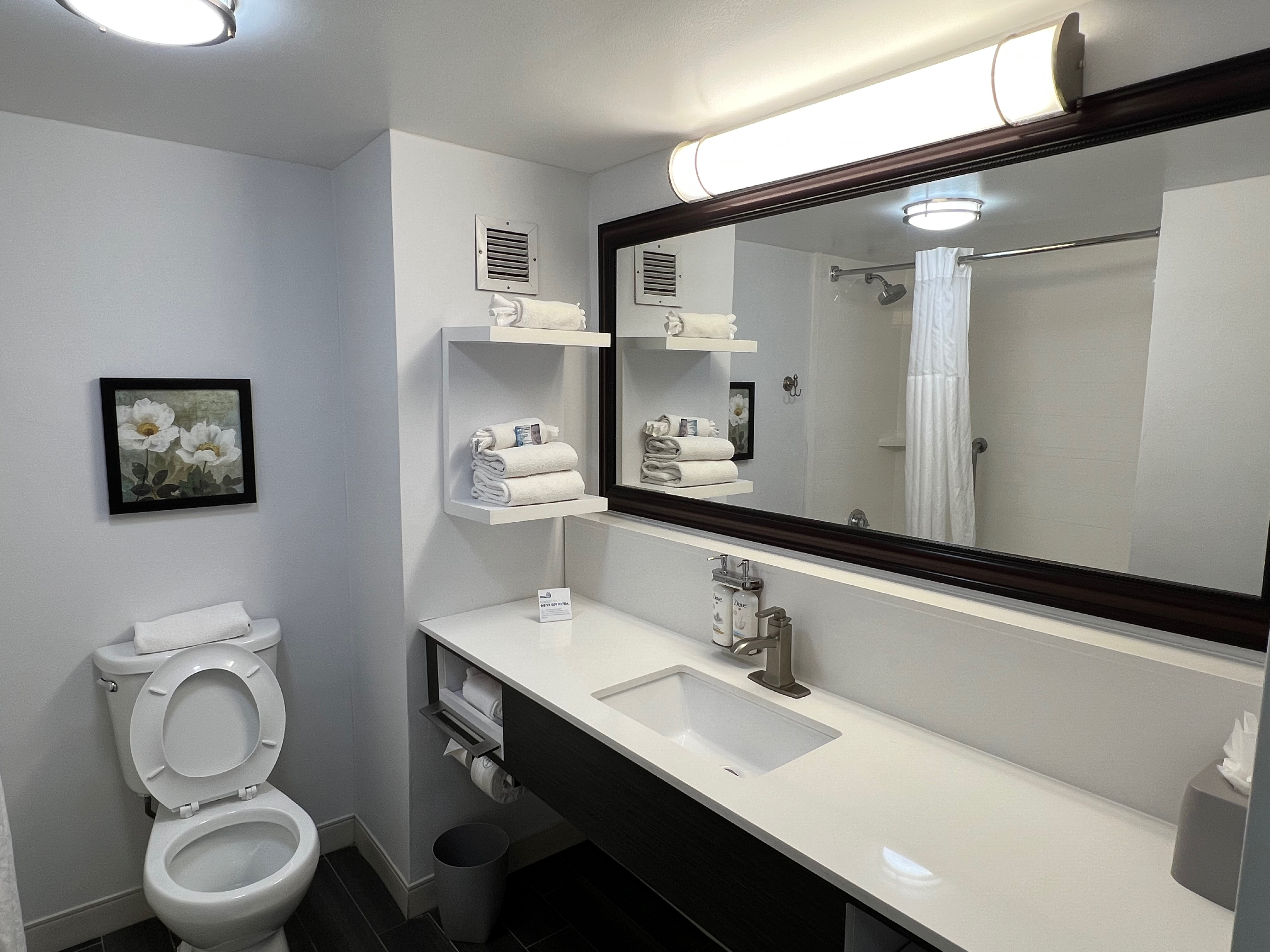 a bathroom with a mirror and toilet