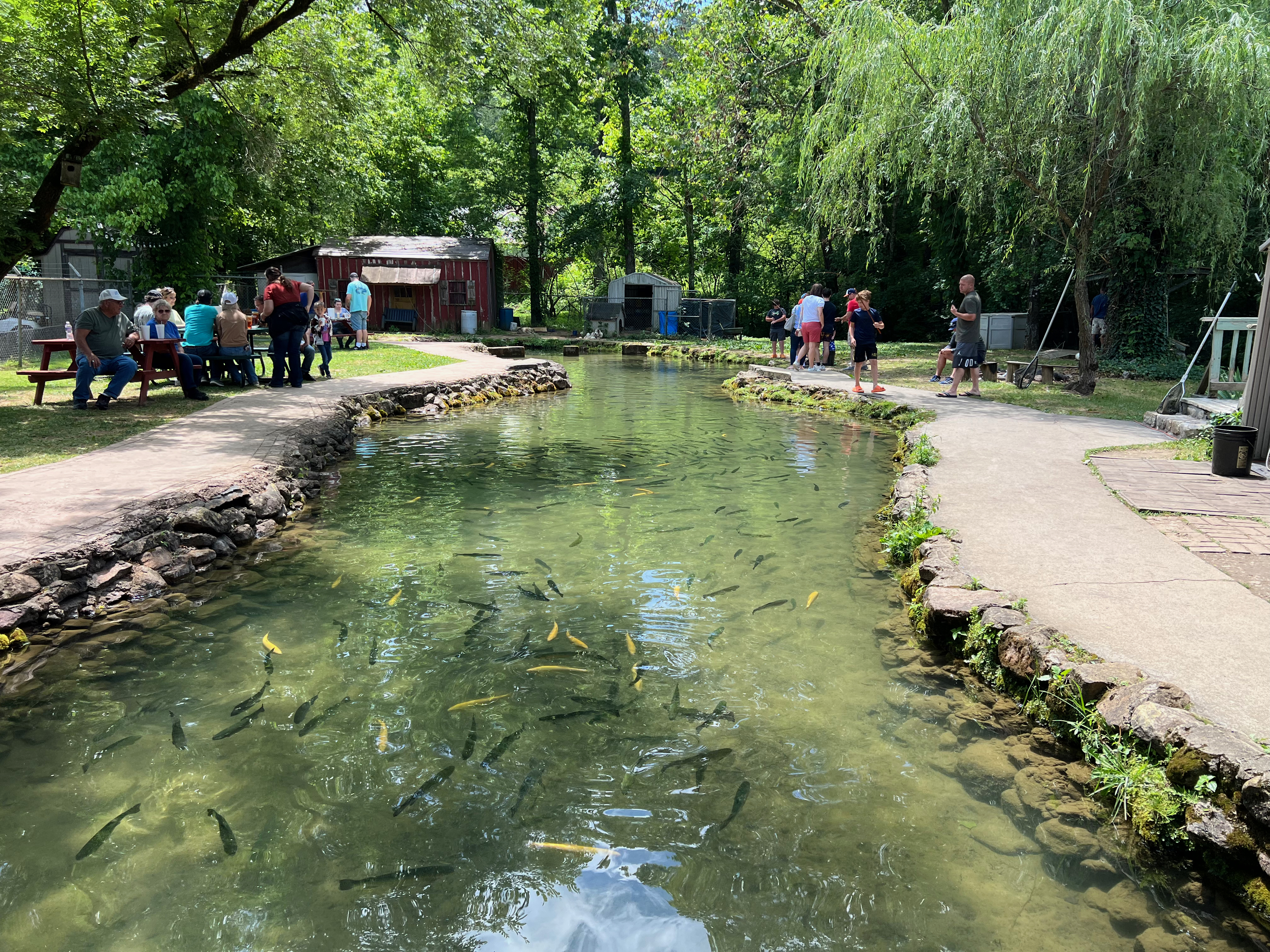 a group of people standing on a path next to a stream with fish