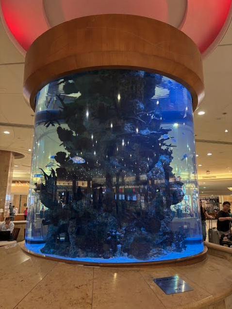 a fish tank in a building