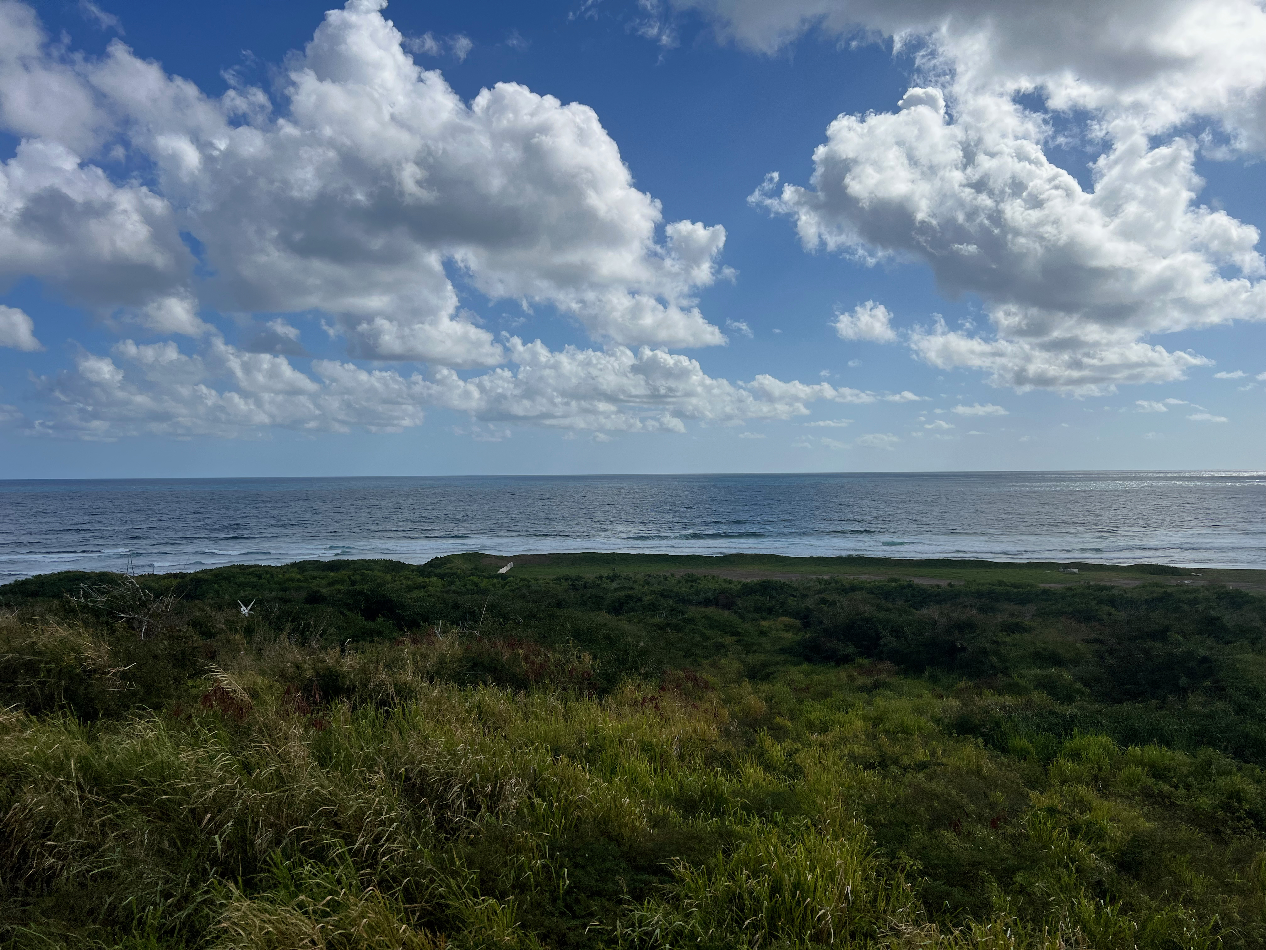 a grassy area with a body of water and clouds in the sky