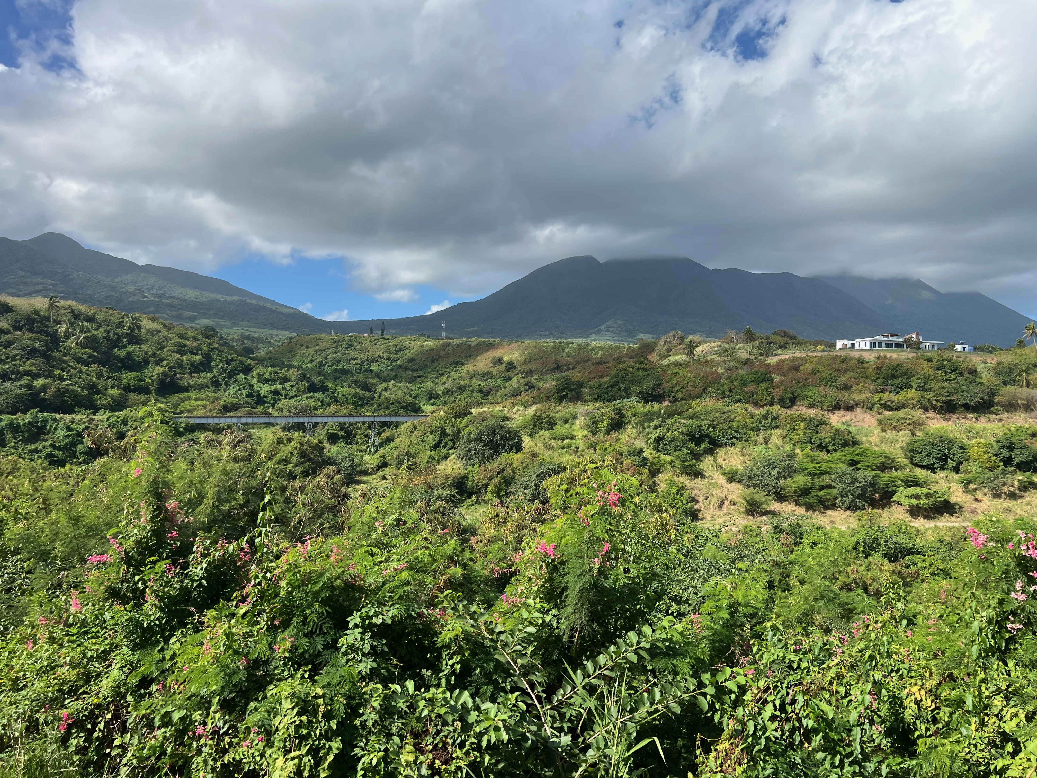 a landscape of a green field with mountains in the background