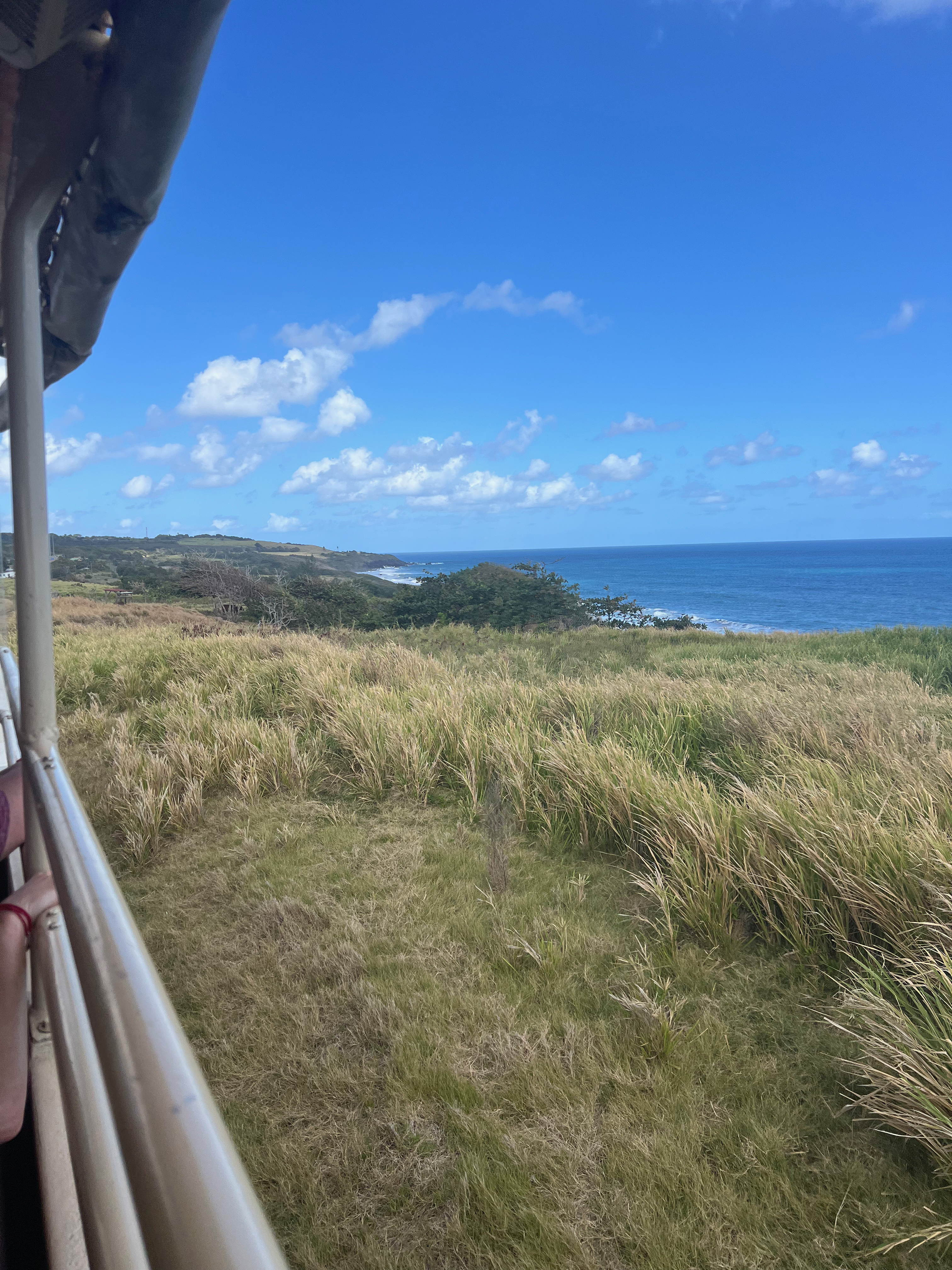 a view of a grassy field and the ocean from a balcony