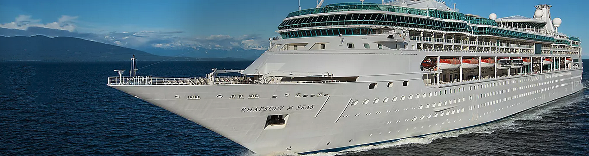a cruise ship in the water