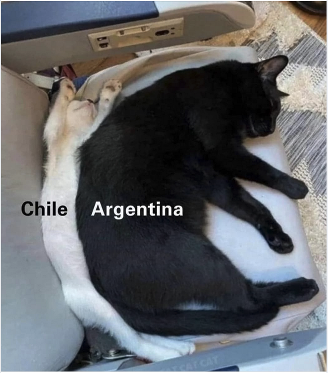 a black cat lying on a white cat