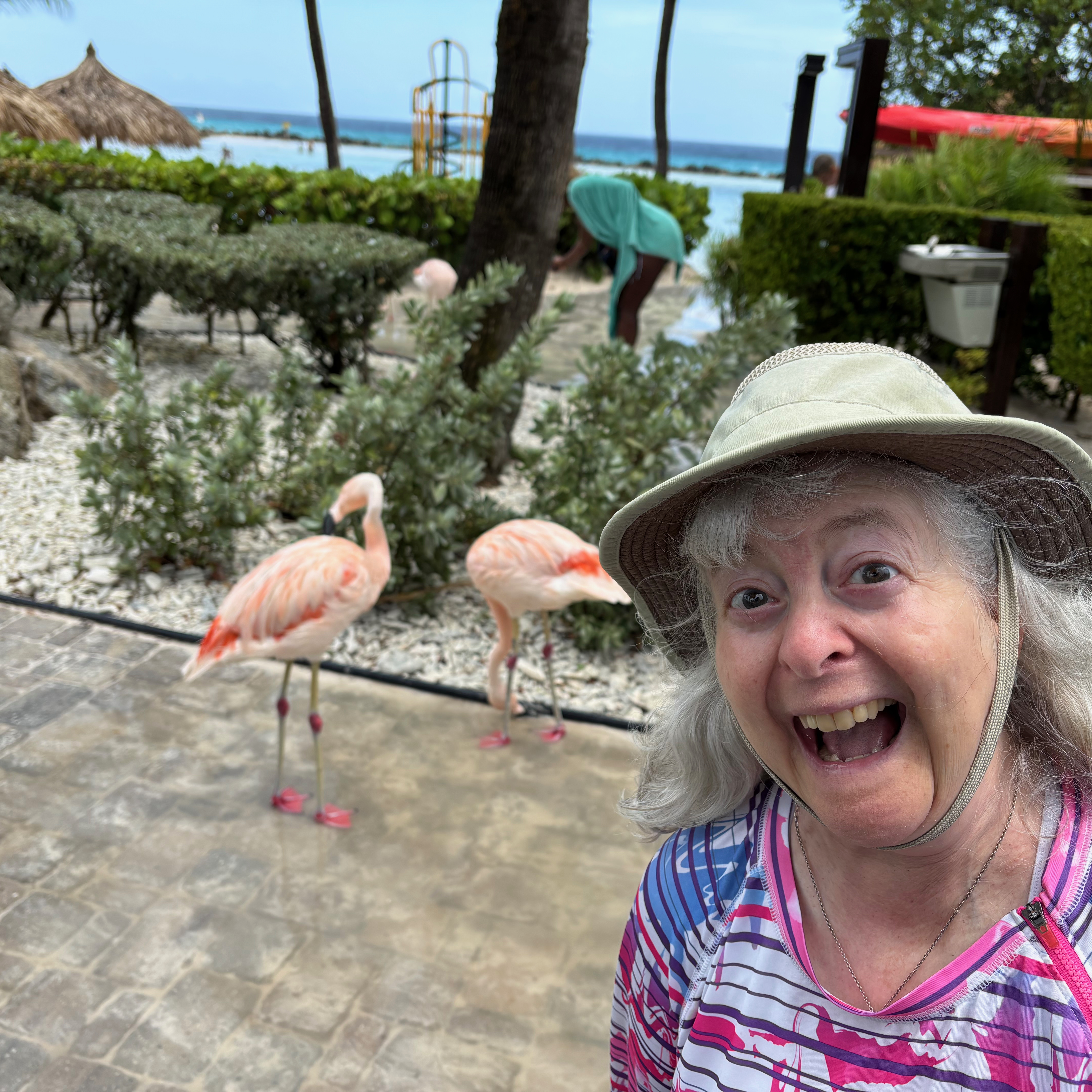 a woman with a hat and flamingos