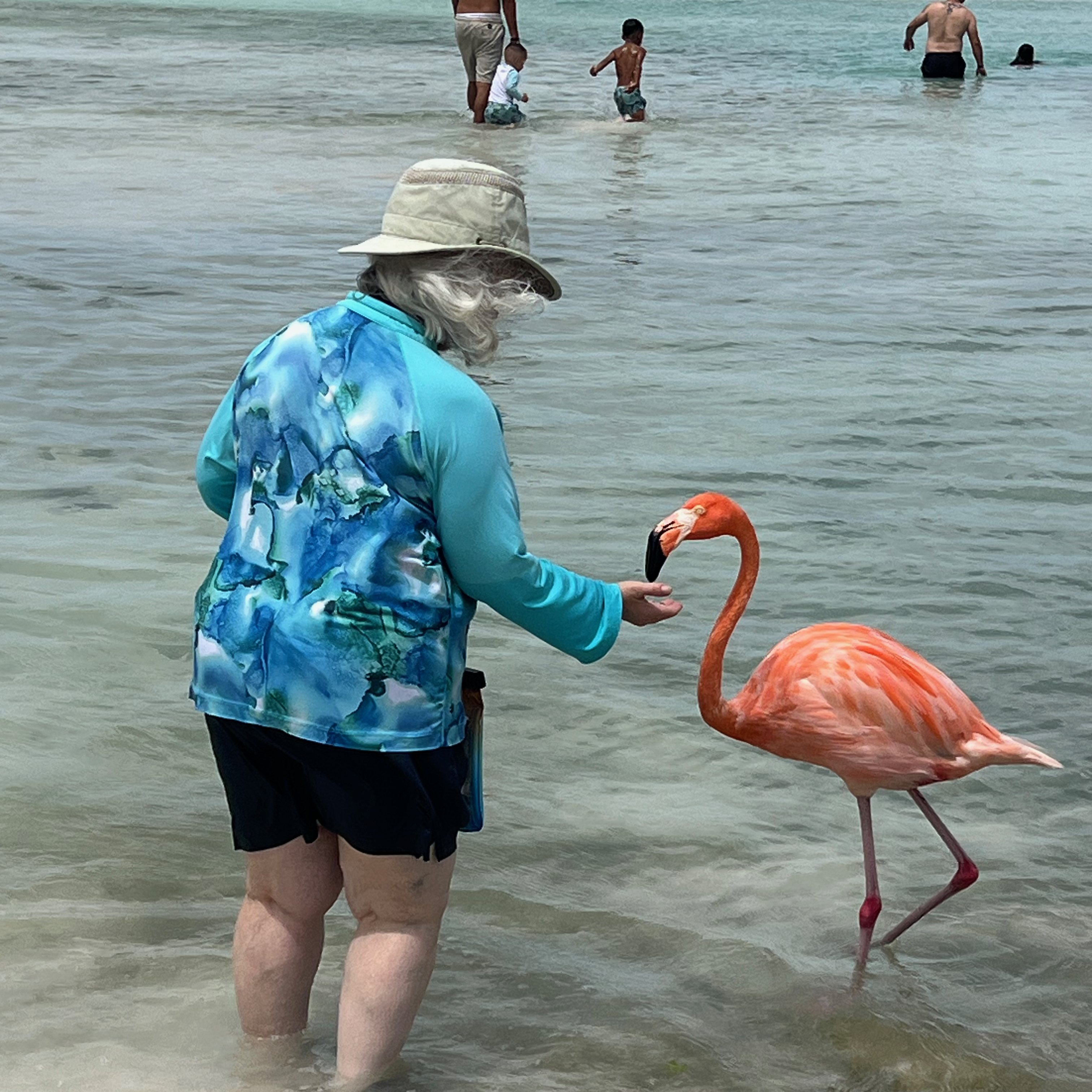 a woman feeding a flamingo in the water