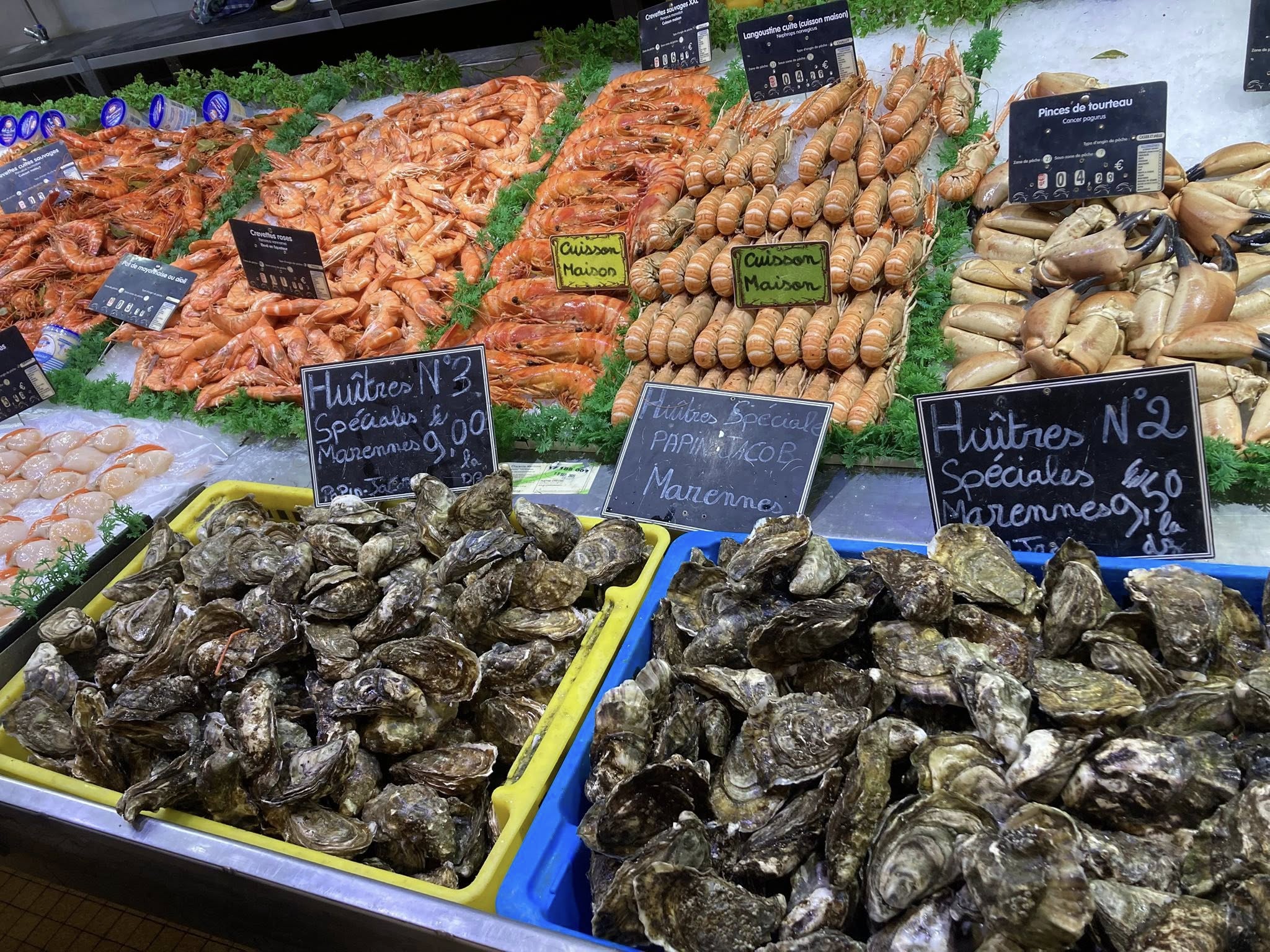 a display of seafood on display