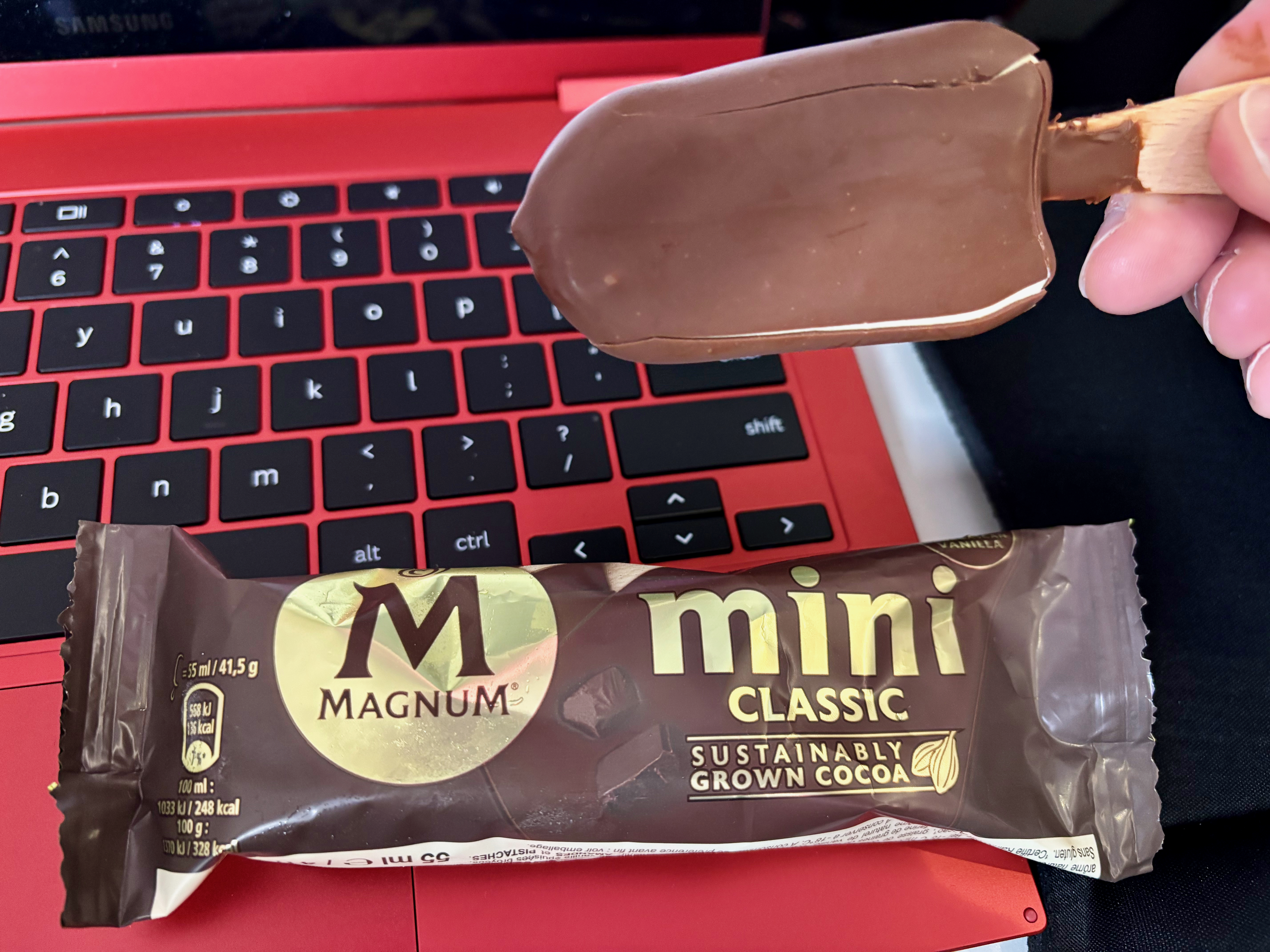 a hand holding a chocolate ice cream bar