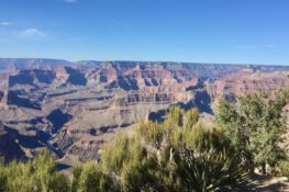 Understanding Minimum Connection Time (MCT) for Airport Layovers - Your