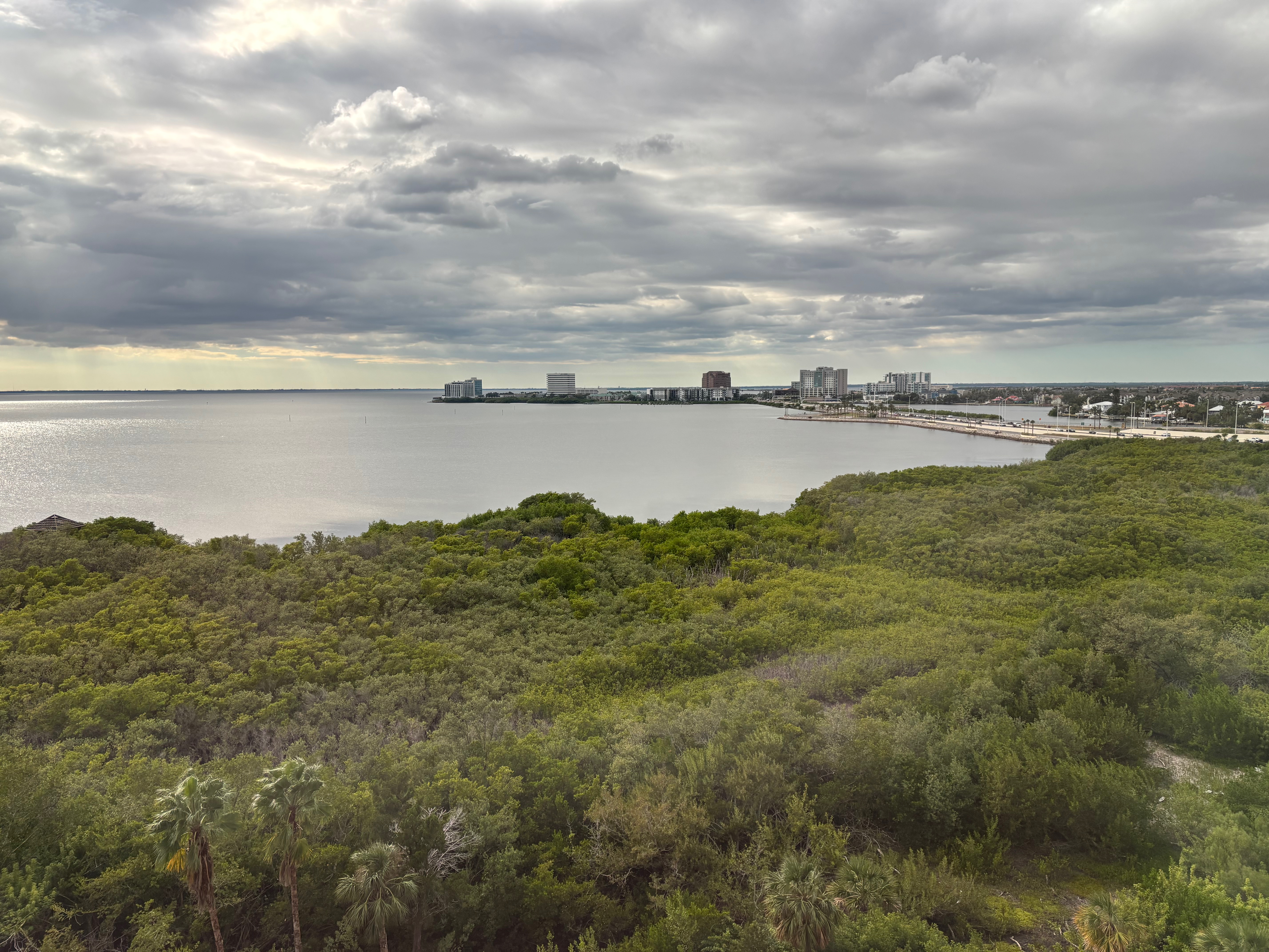 View of Old Tampa Bay from our room at the Grand Hyatt Tampa Bay