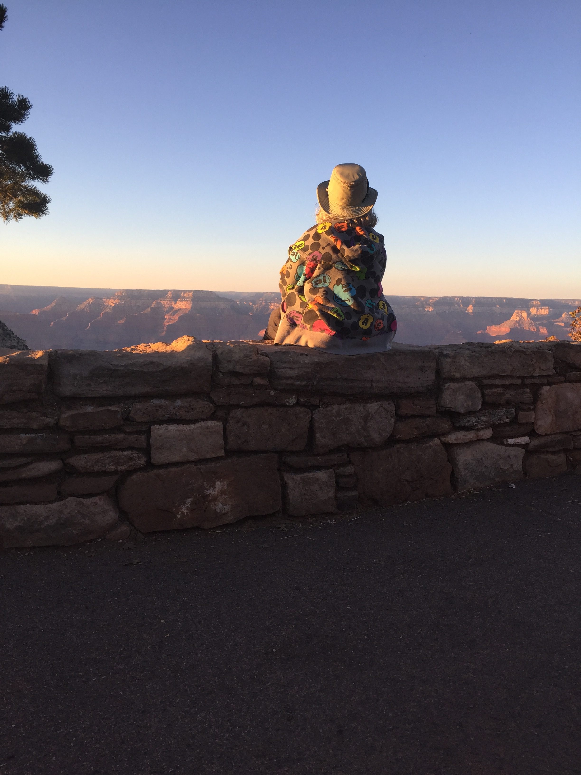 a person sitting on a stone wall looking at the grand canyon